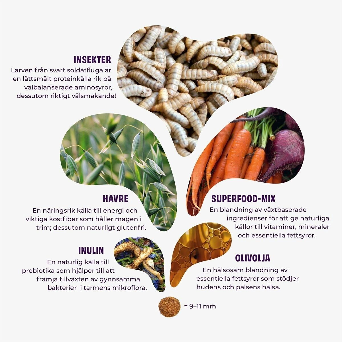 Petgood insect-based dog food adult