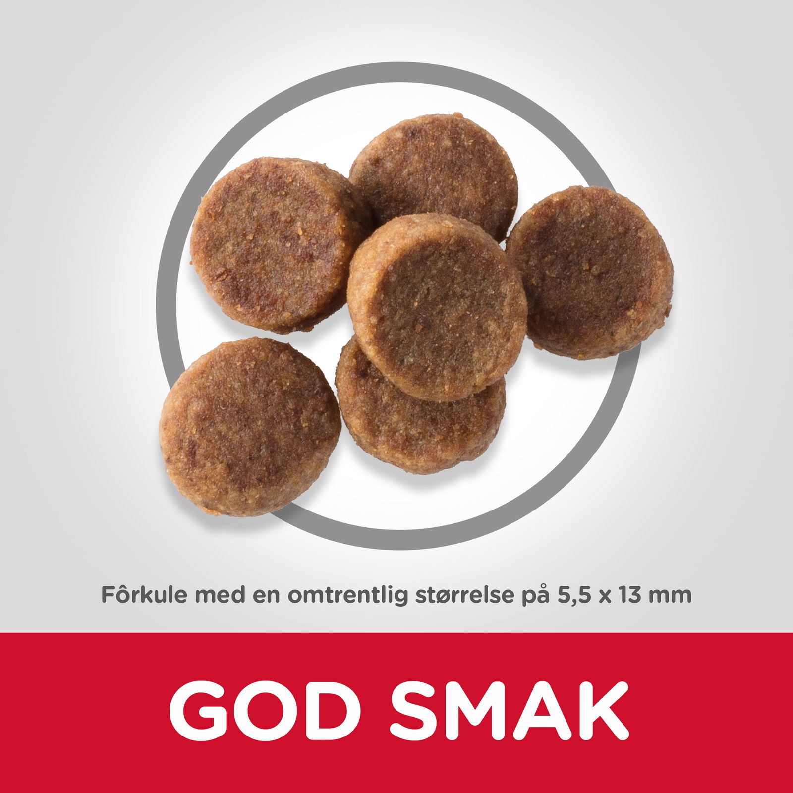 Hill's Science Plan Dog Puppy Large Breed