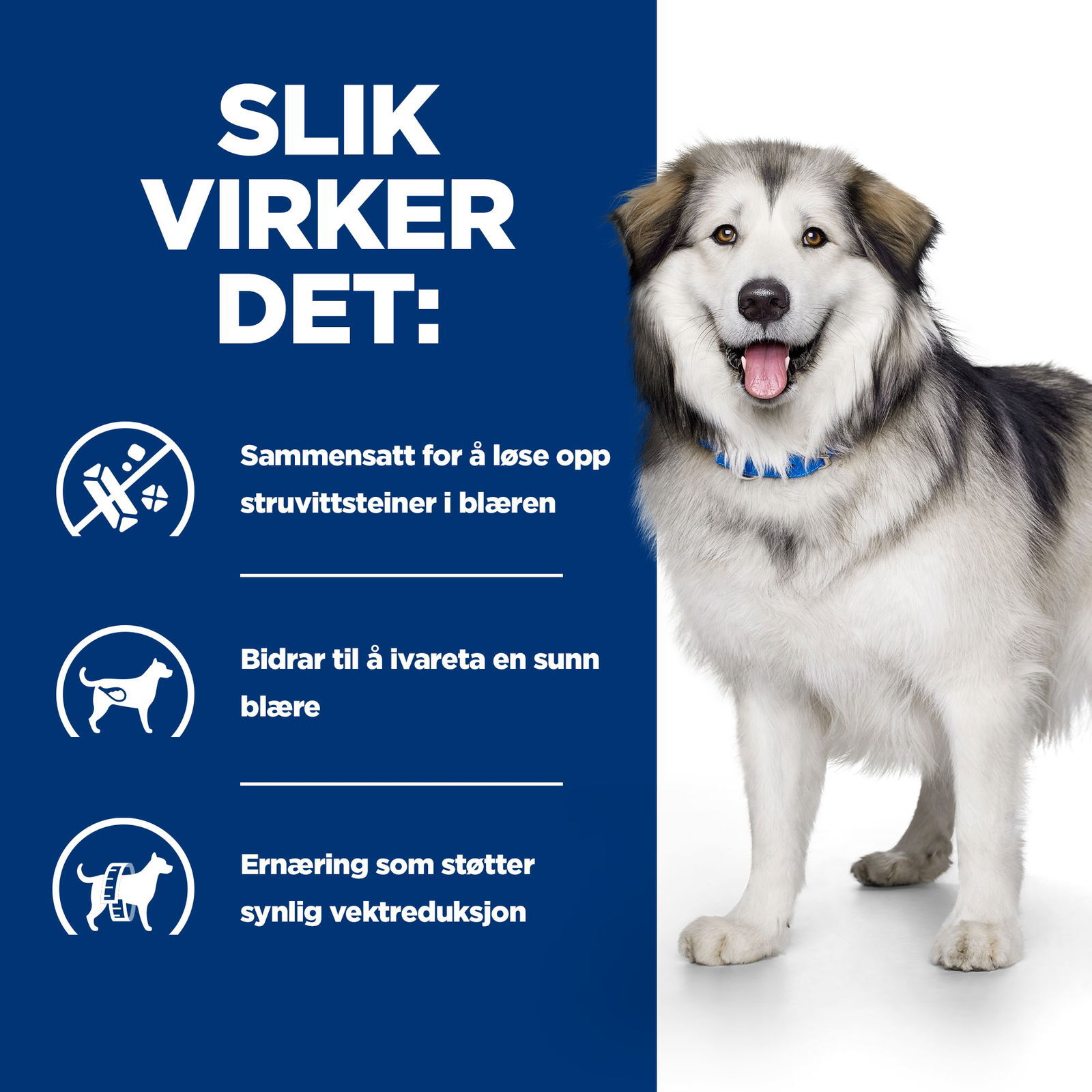 Hills Diet Dog Metabolic + Urinary 2kg