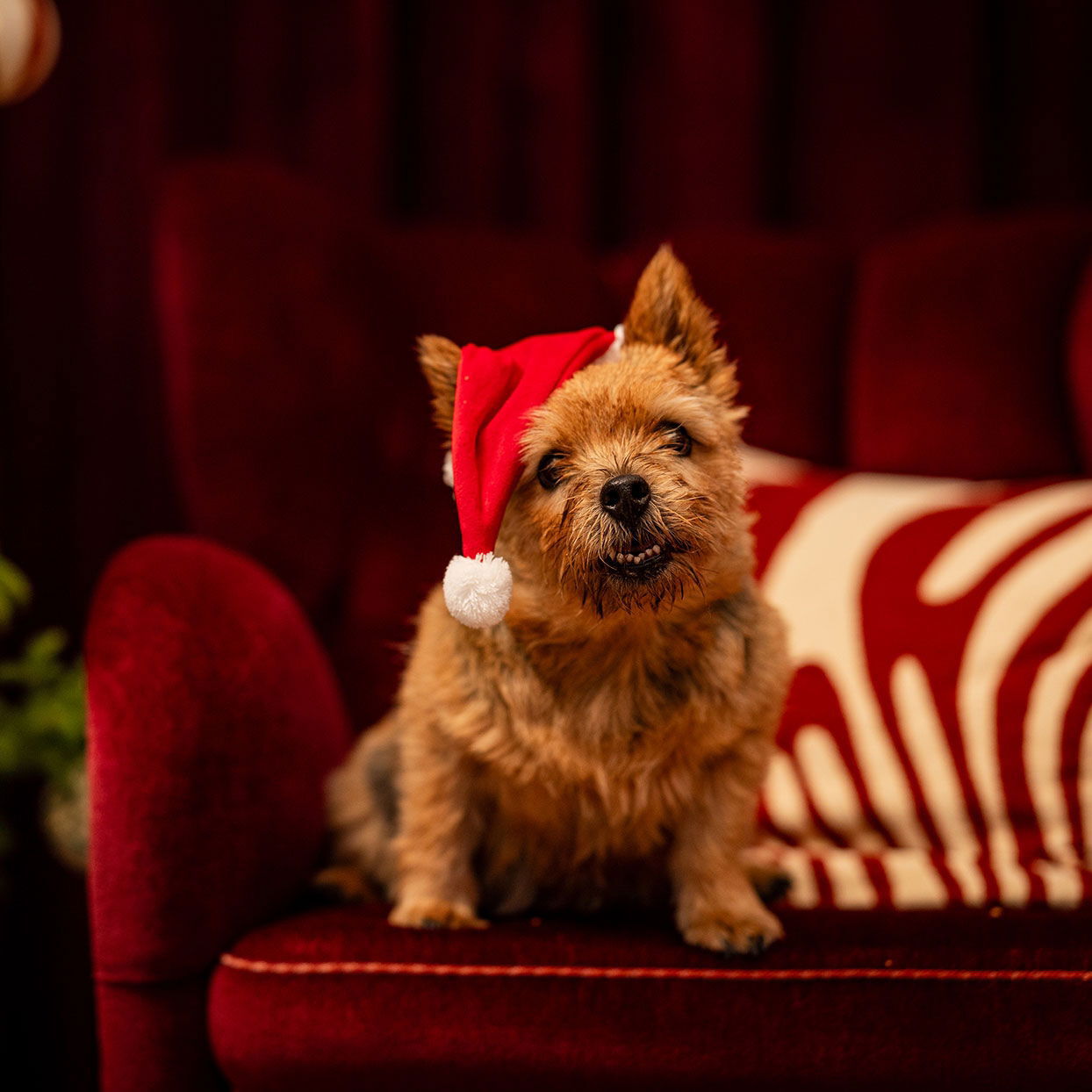 Little&Bigger Xmas Hat long red