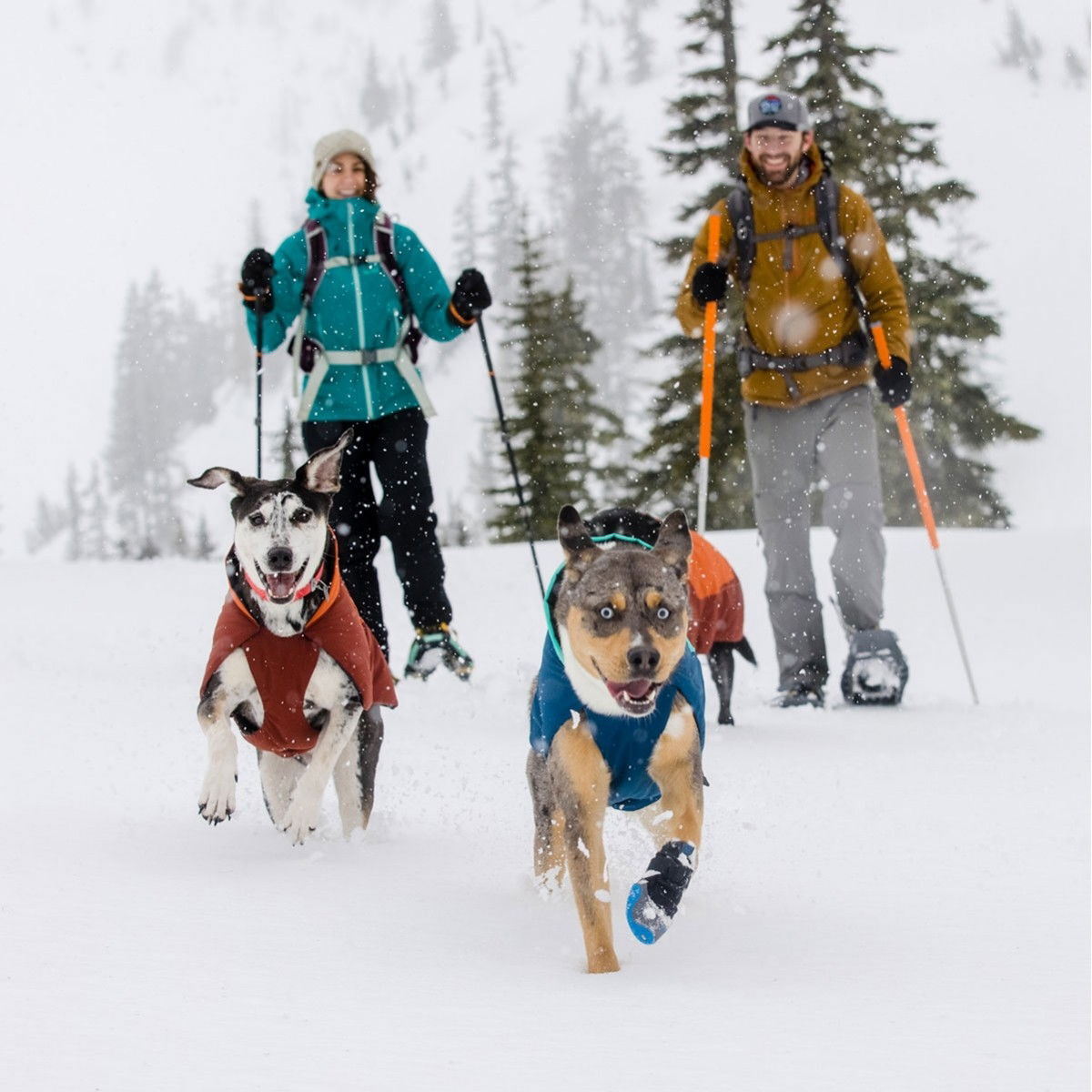 Ruffwear Vert Jakke Aurora Teal