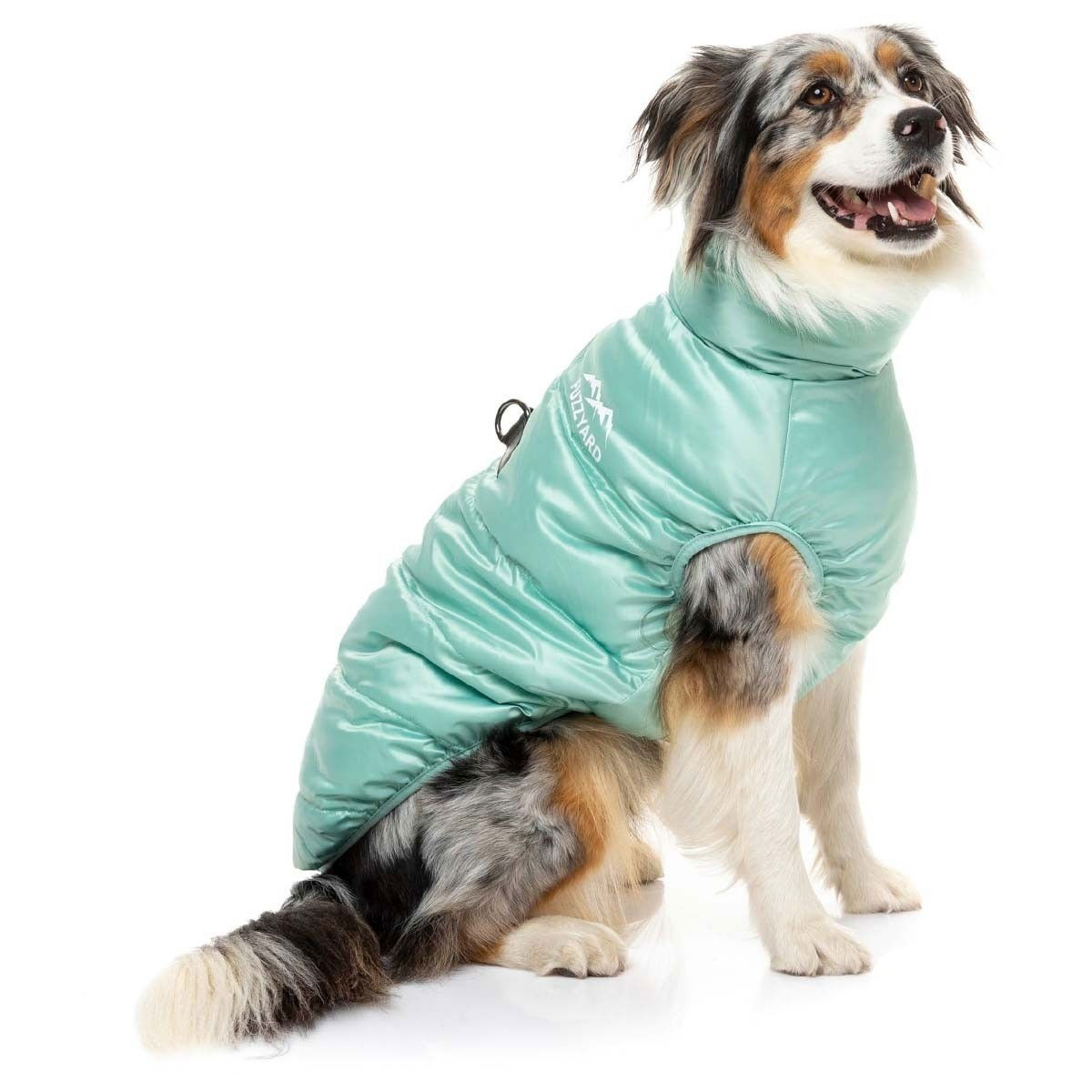 FuzzYard The Eastcoast Mint