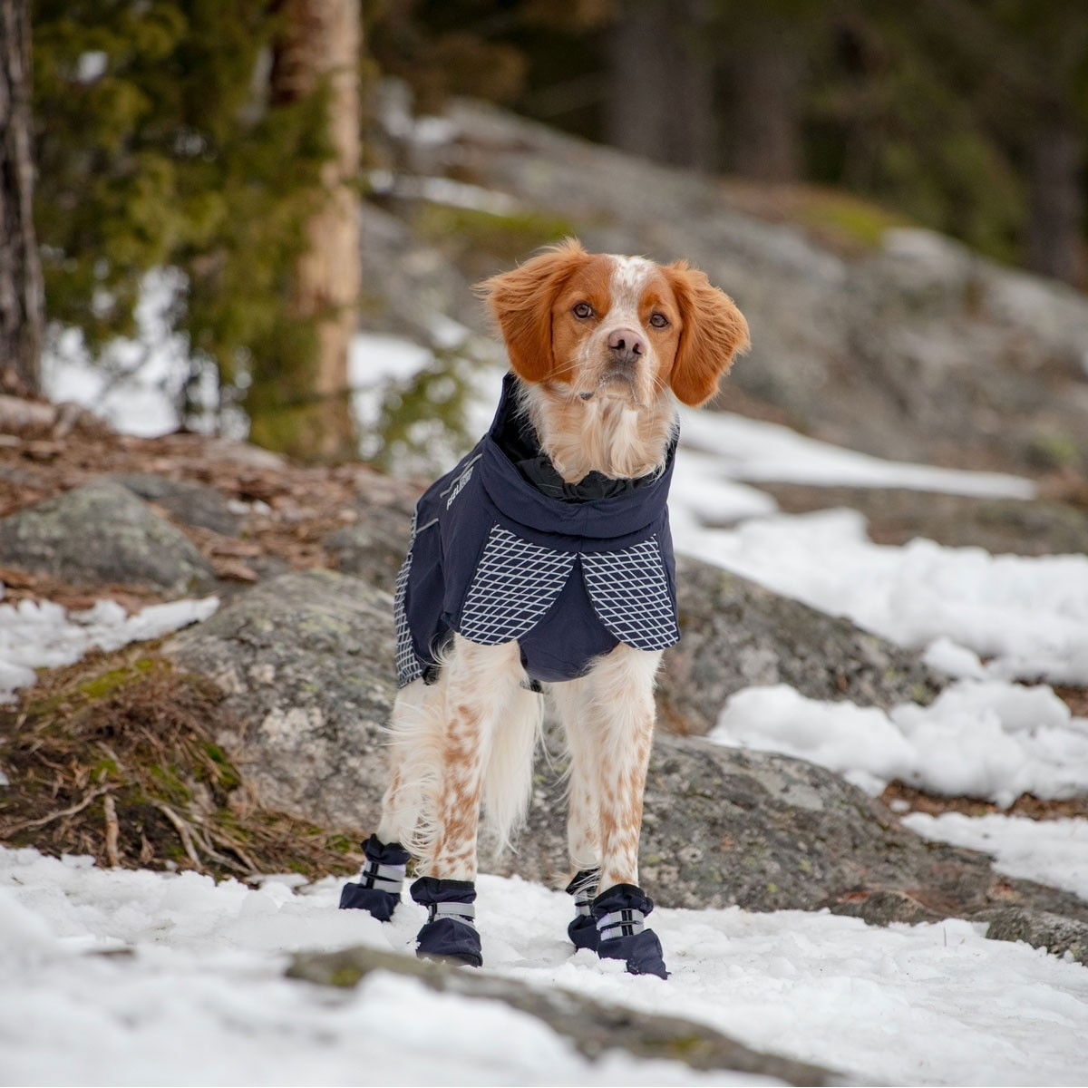 Feel Active Snow socks 2pcs blue