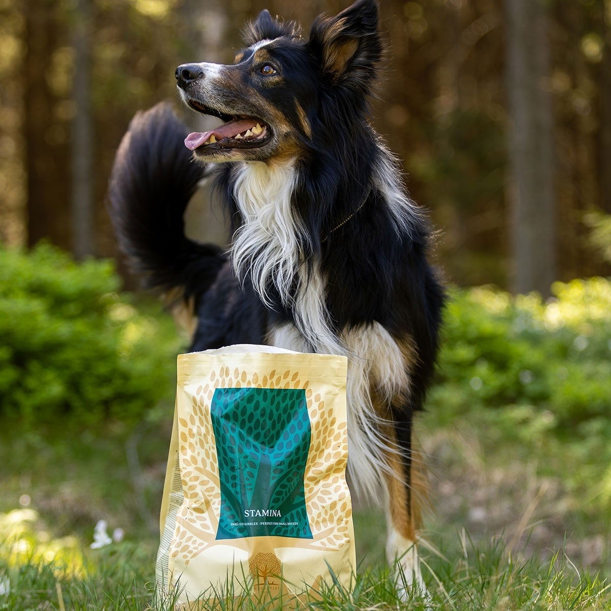 ESSENTIAL STAMINA SMALL BREED 2,5kg