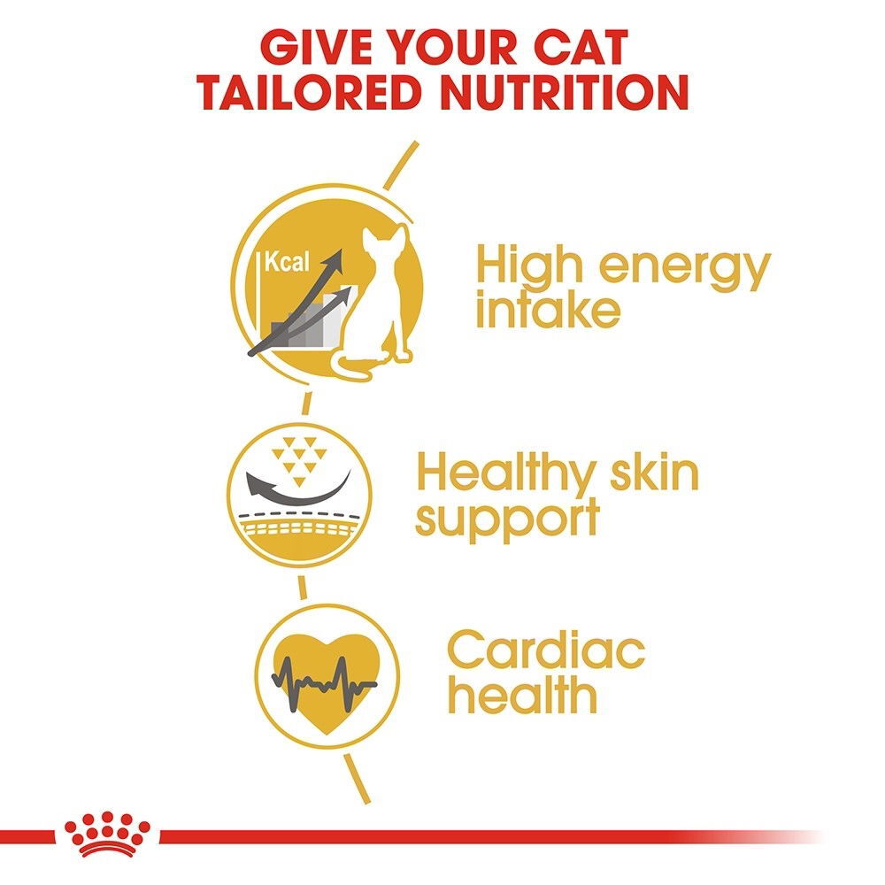 Royal Canin Sphynx Adult tørrfôr til katt