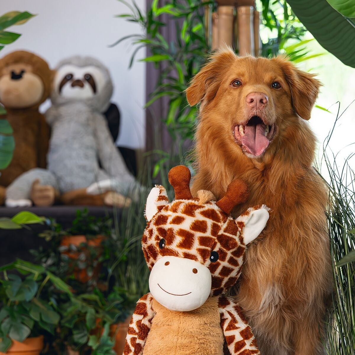 Beeztees Jungle Giraffe