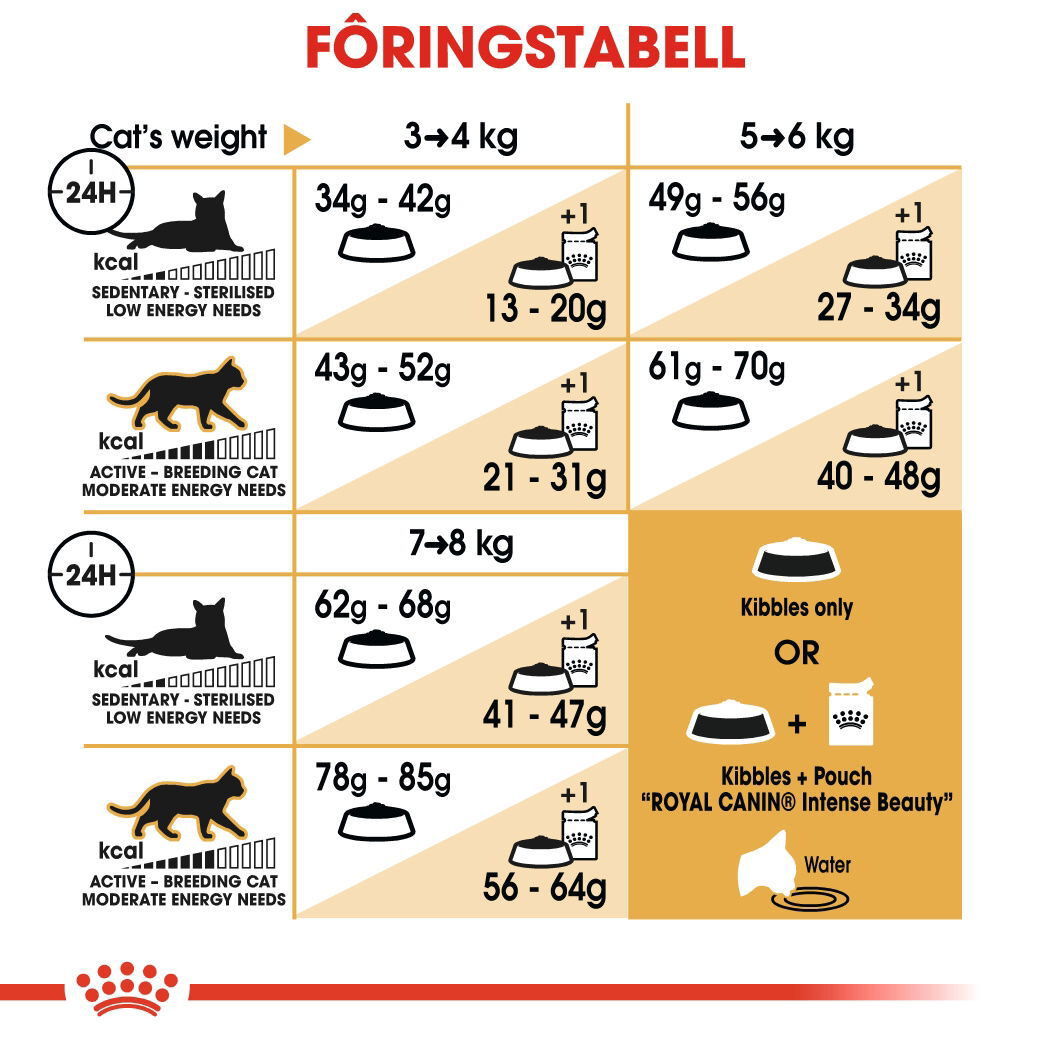 Royal Canin Ragdoll Adult tørrfôr til katt