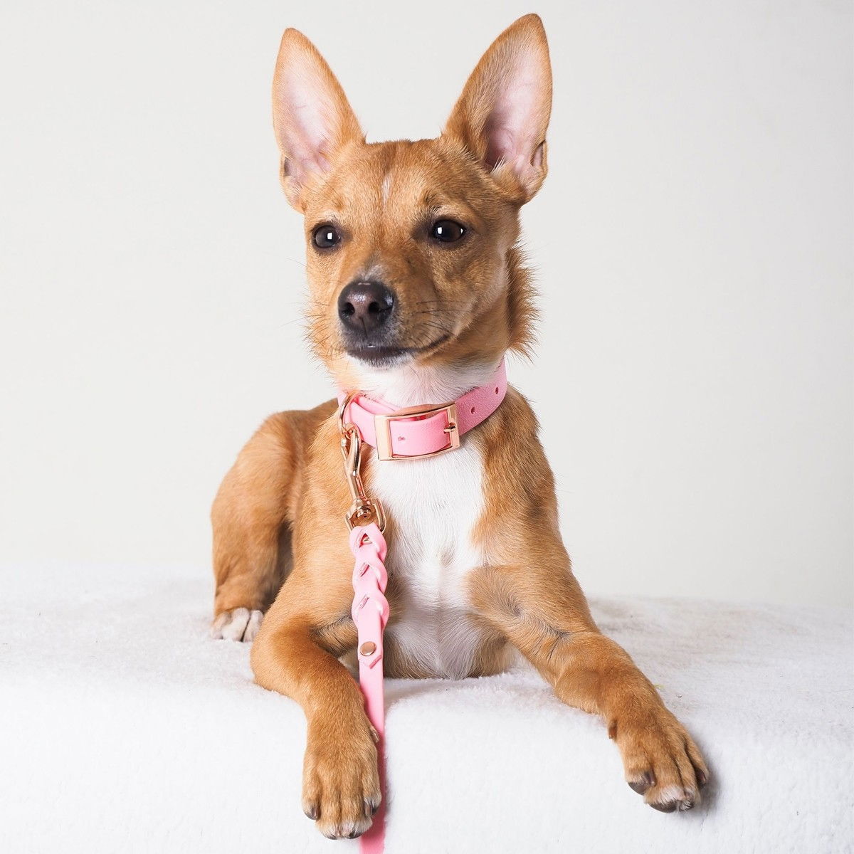 Tyylivoitto Classy narrow collar, light pink