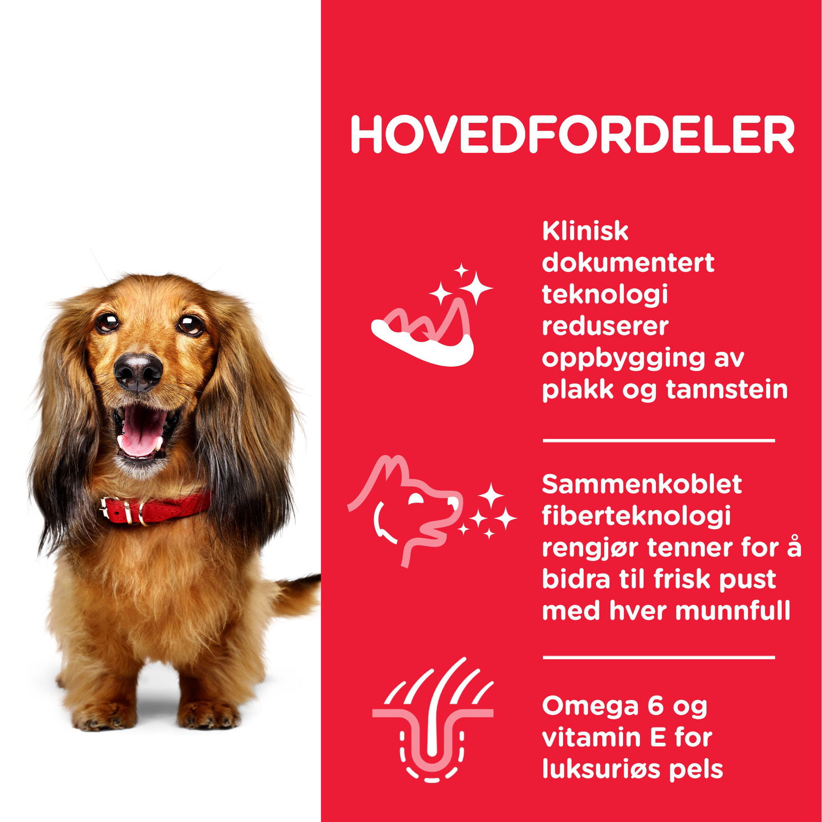 Hill's Science Plan Dog Adut Oral Care