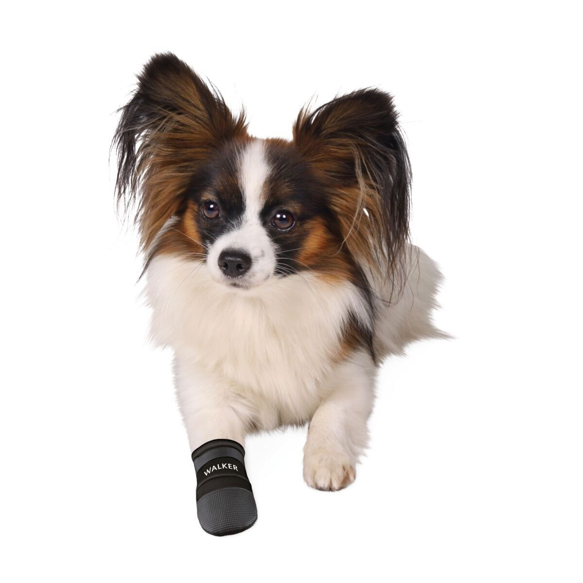 Trixie Hundsko Neopren 2-pack