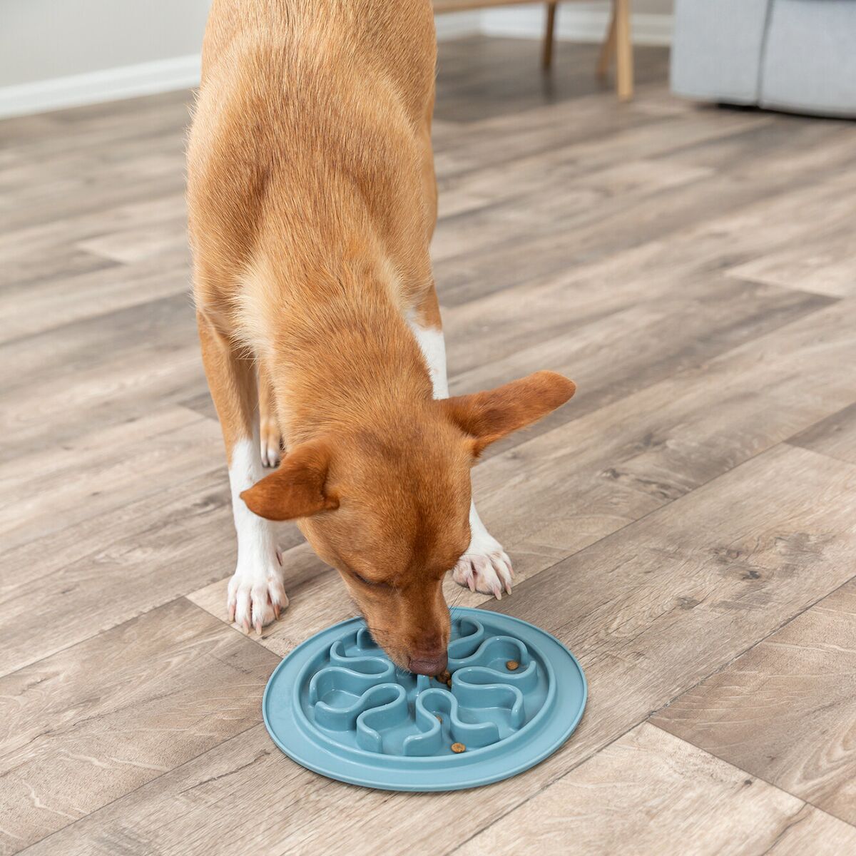 Trixie Slow Feeding mat, 24cm various