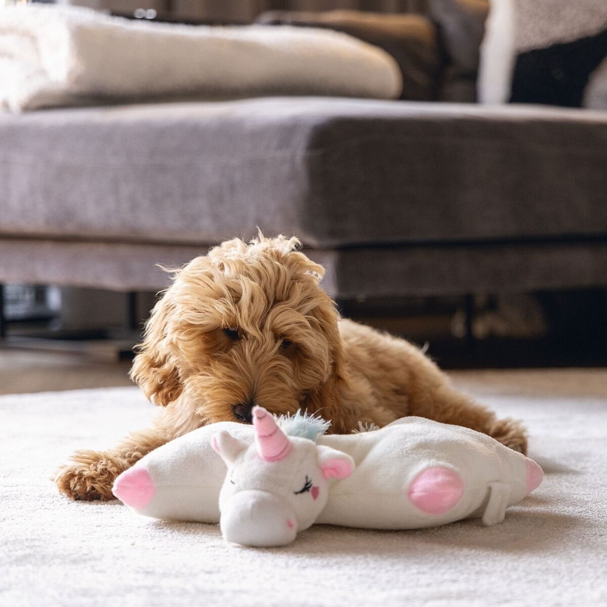 Beeztees puppy heat toy Mon