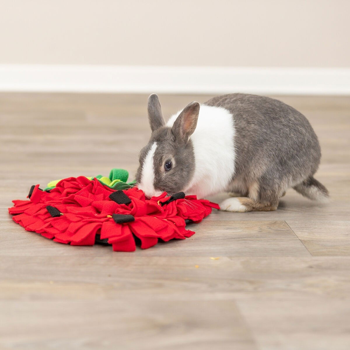 Trixie small animal strawberry sniffing carpet
