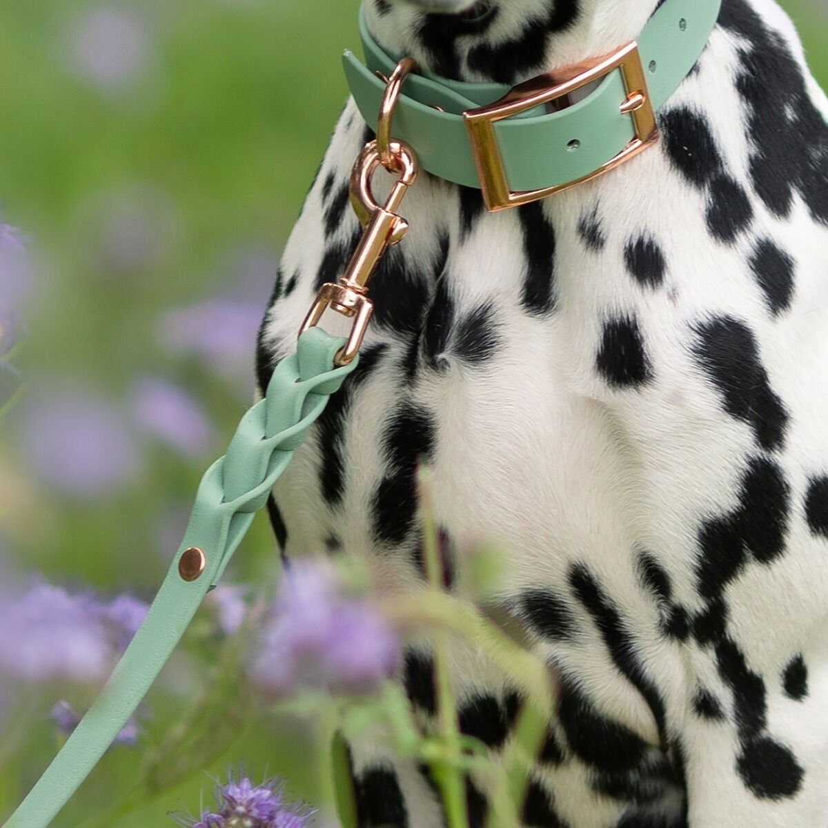 Tyylivoitto Braid leash, sage/rosegold