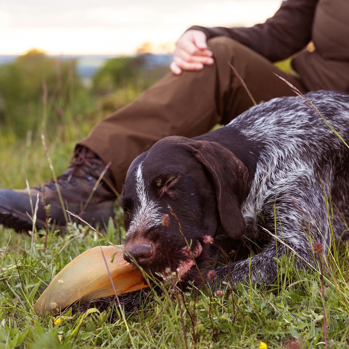 ESSENTIAL Cow Delights 150g
