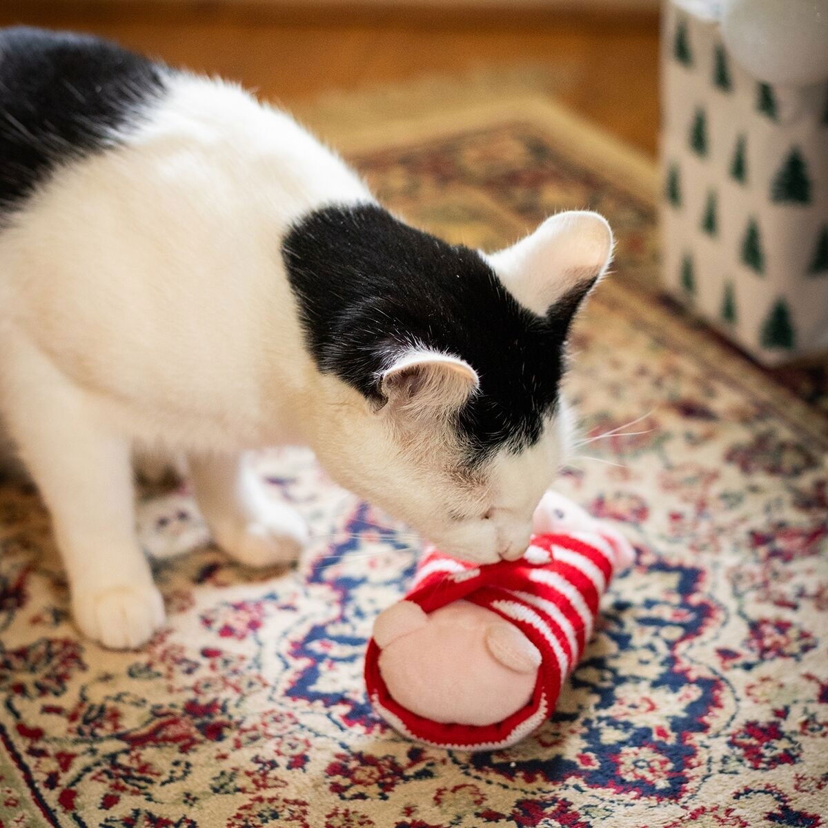 Rosewood Penny Pig in Blanket Toy
