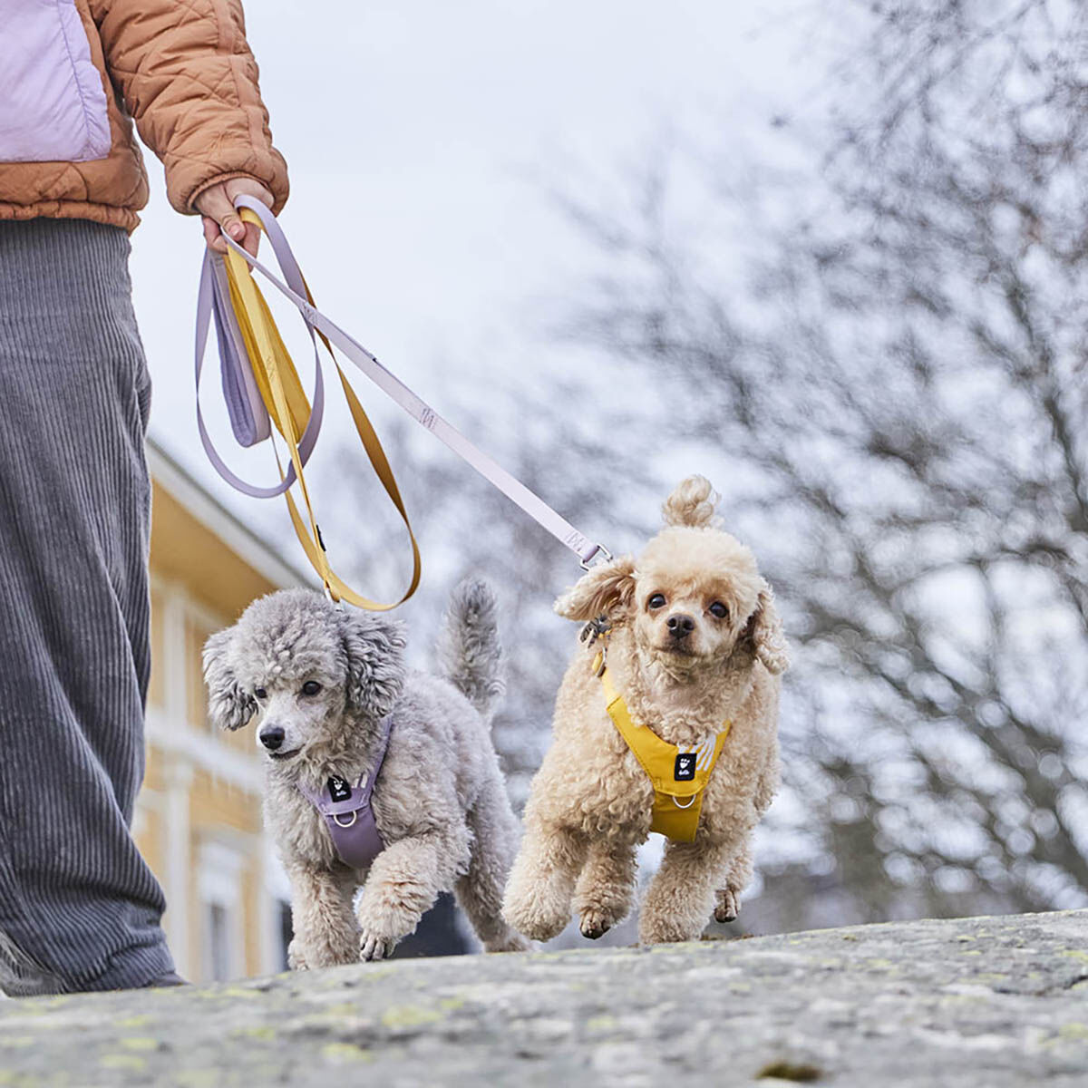 Hurtta Seeker Standard Leash 180*15