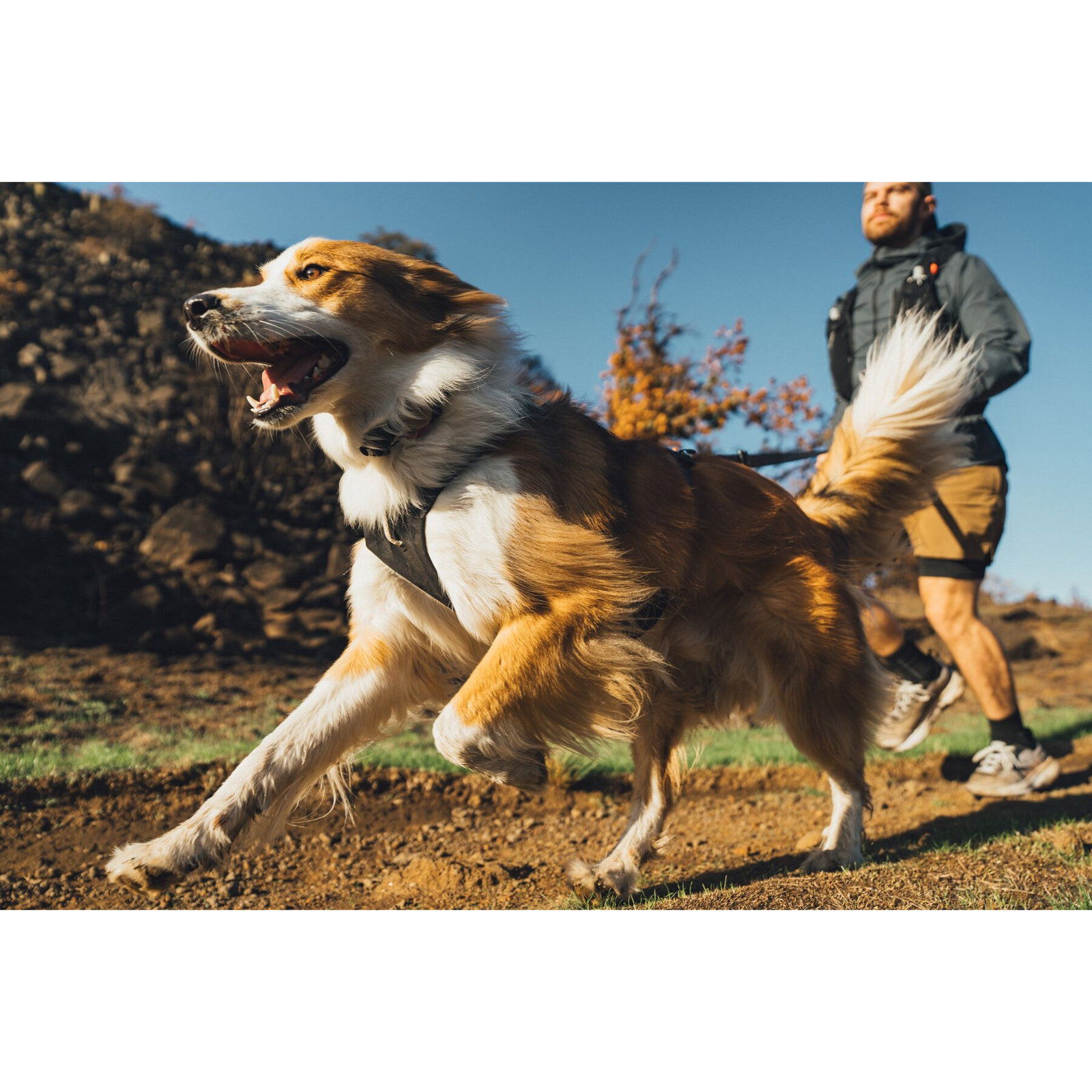 Ruffwear Ridgeline Harness Obsidian Black