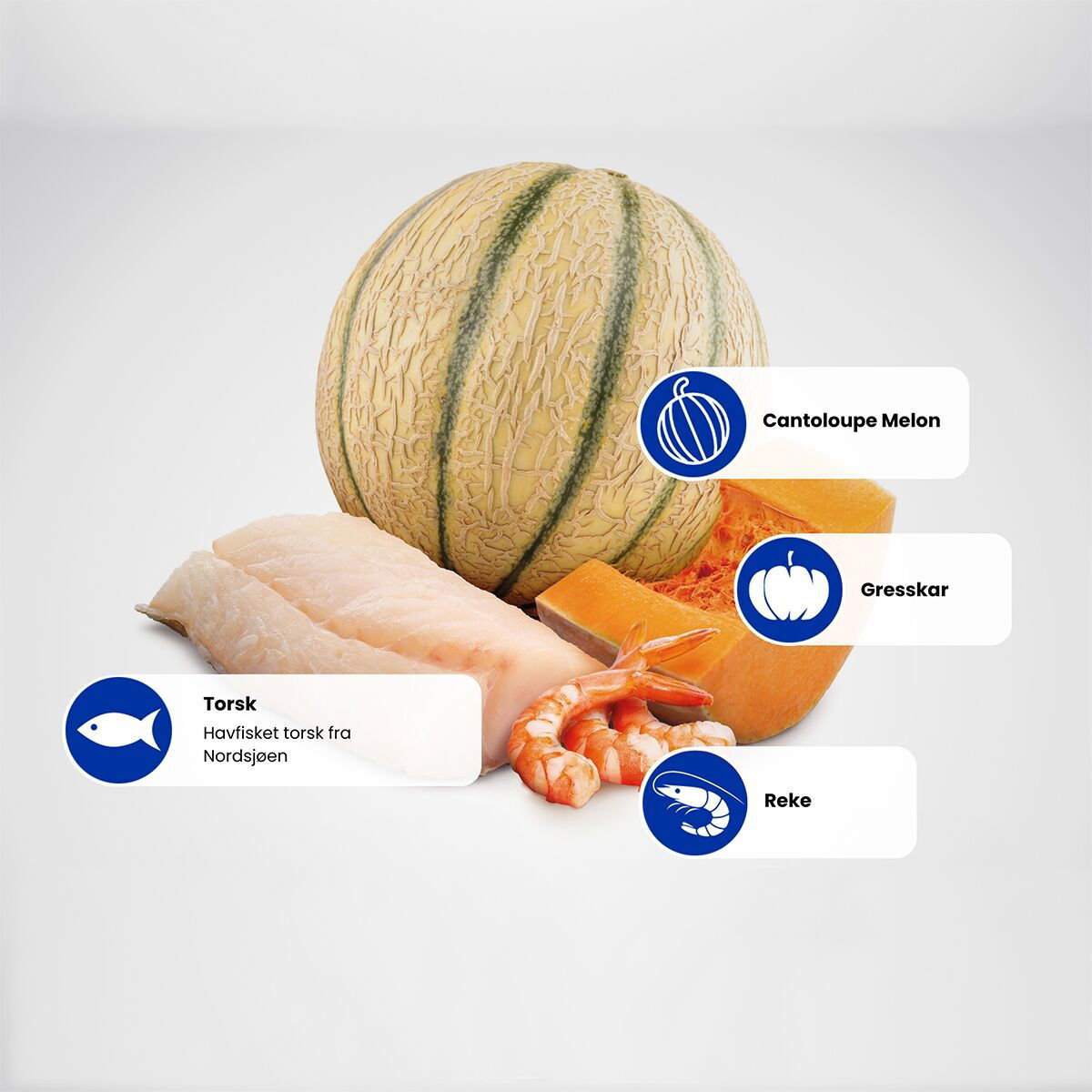 N&D Cat Ocean Cod&Pumpkin Kitten