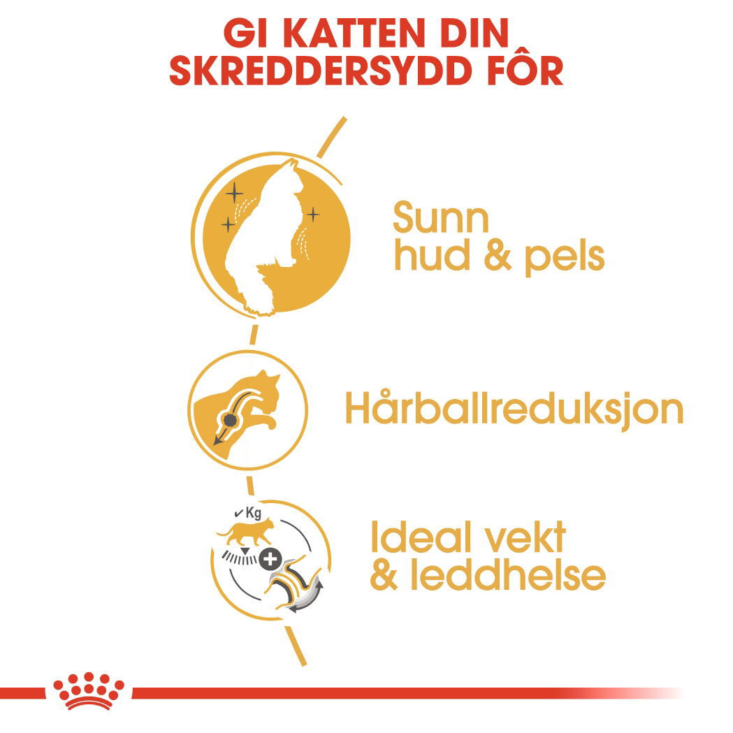 Royal Canin Norwegian Forest Adult tørrfôr til katt