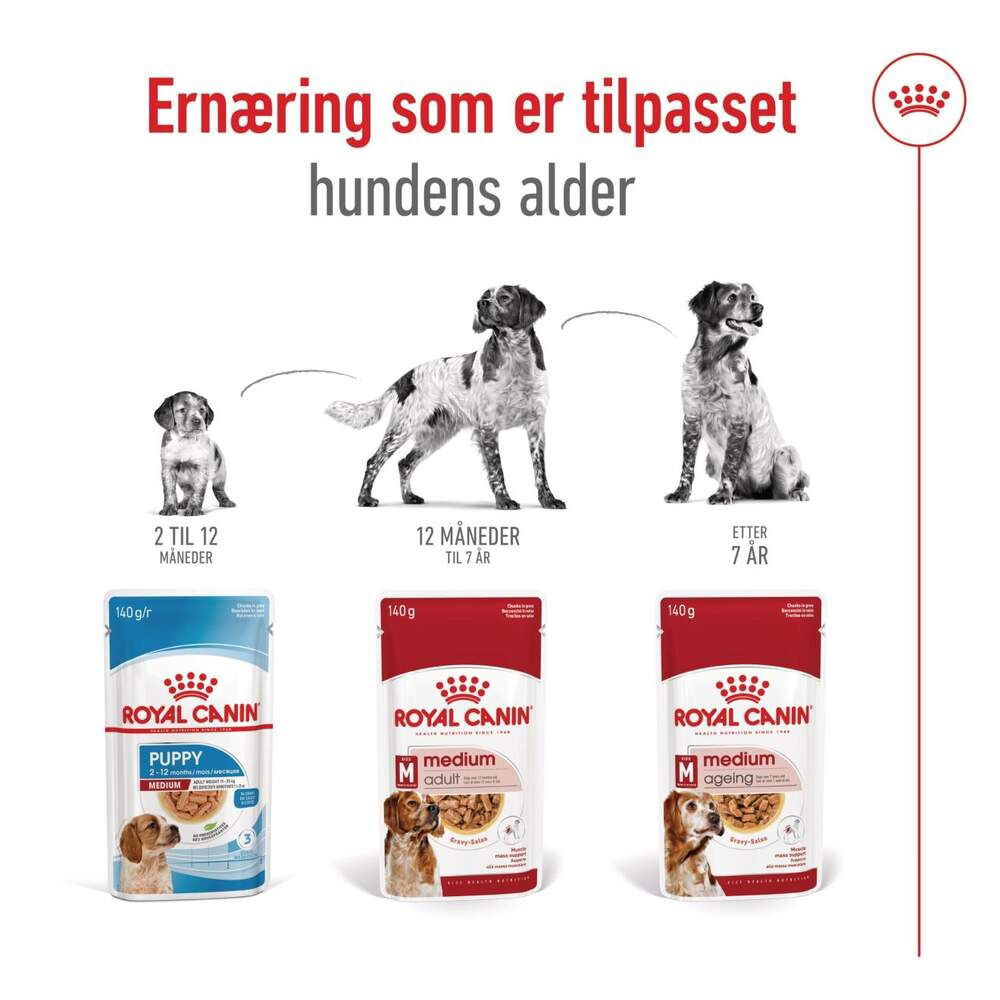 Royal Canin Medium Ageing Gravy våtfôr til hund