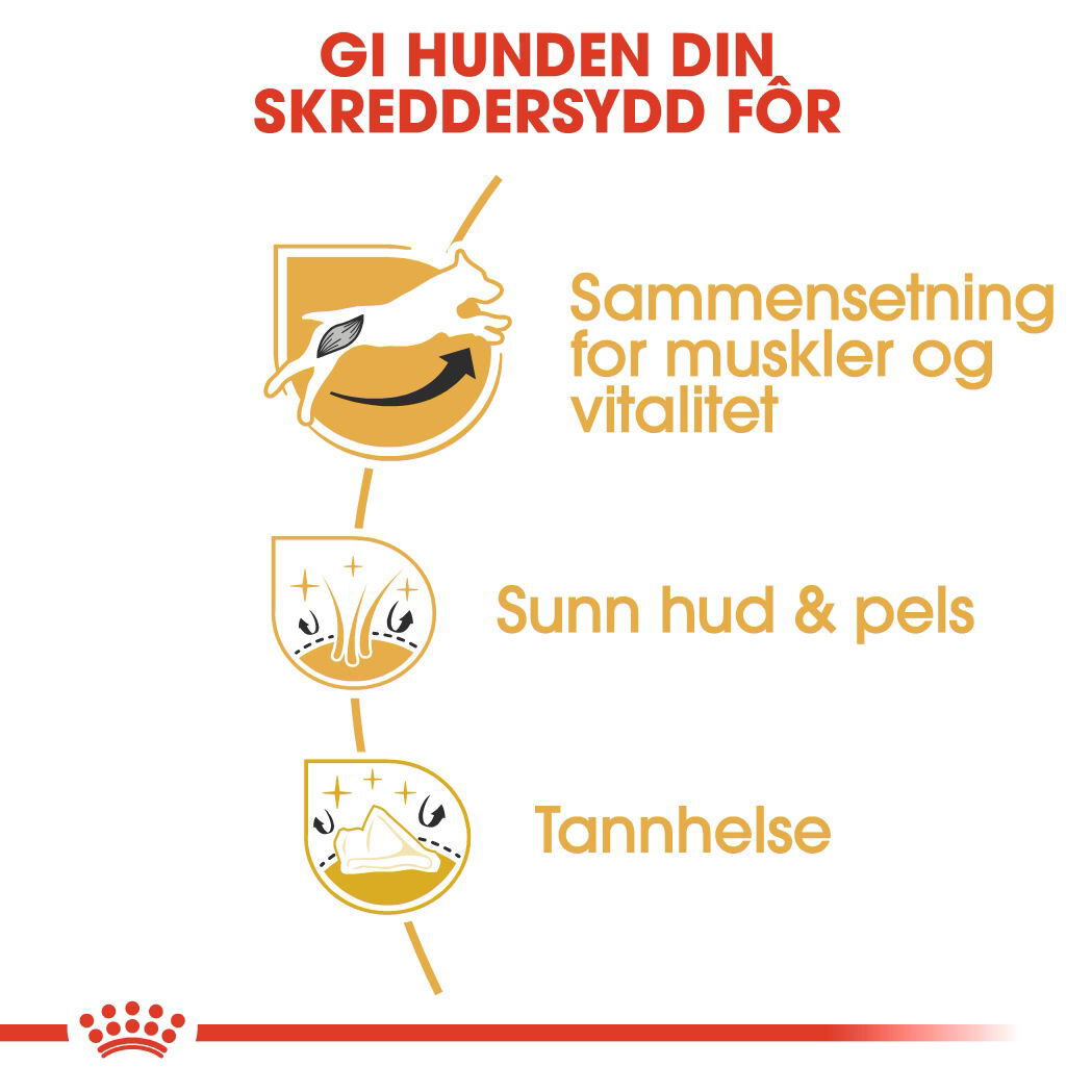 Royal Canin Jack Russel Adult tørrfôr til hund