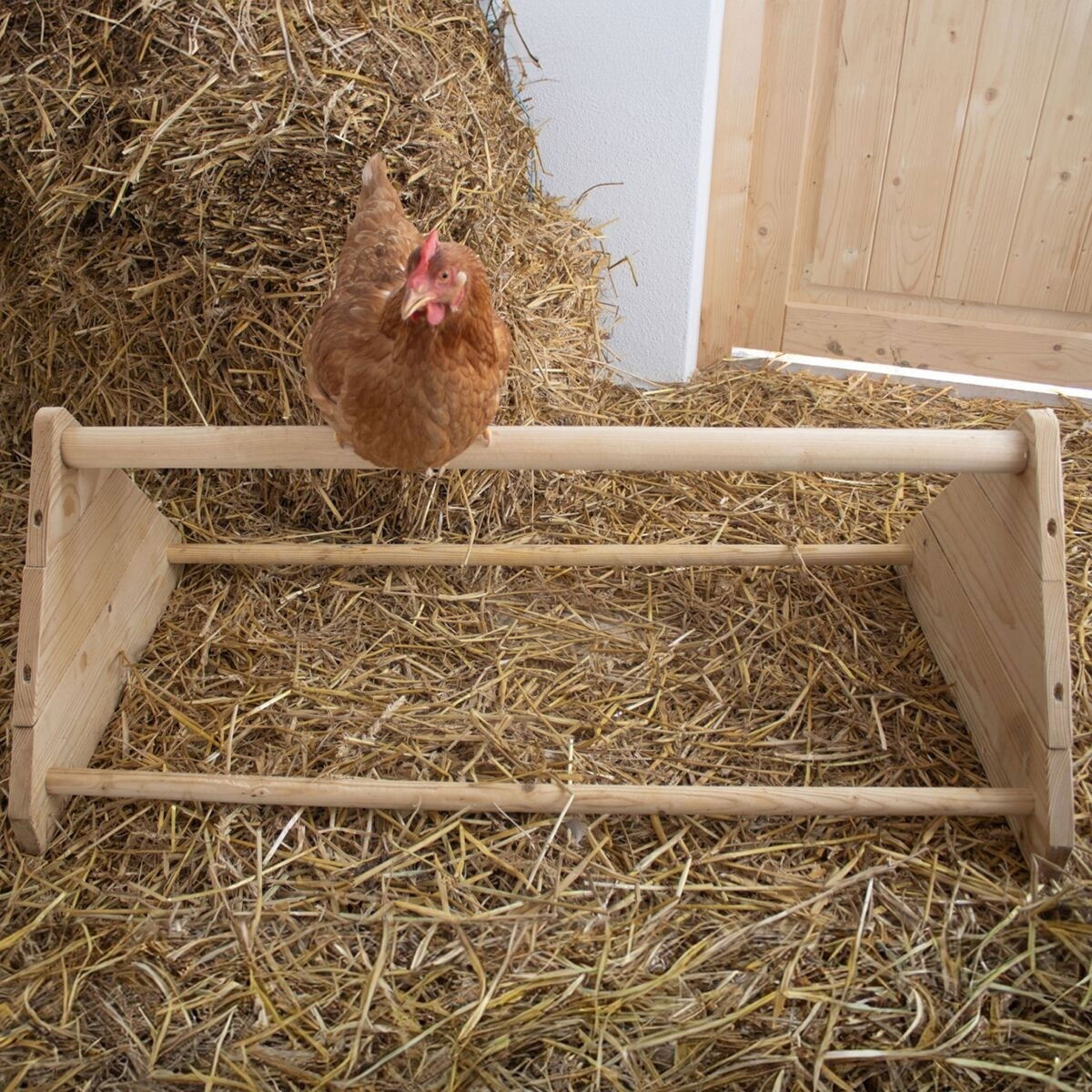 Perch for Hens 56 cm
