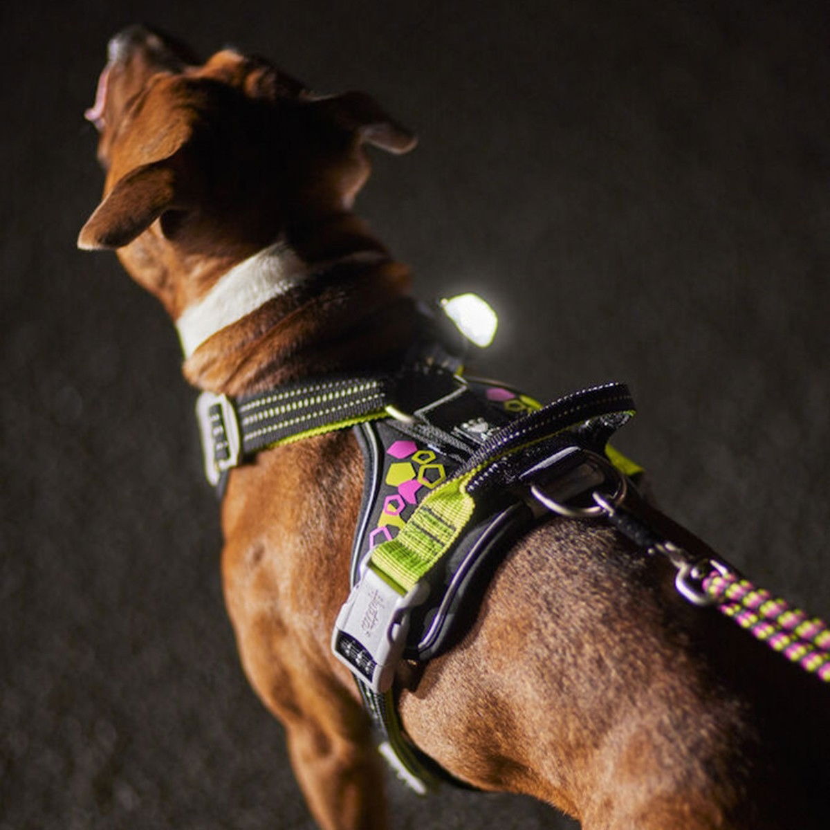 Hurtta Weekend Warrior Neon Harness