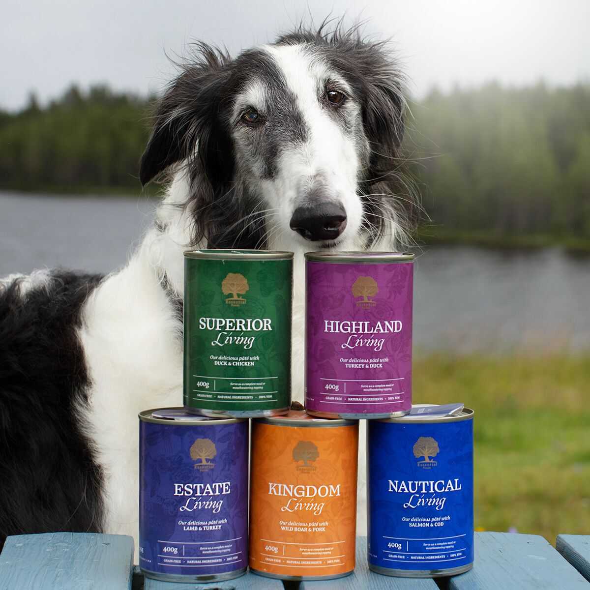 ESSENTIAL SUPERIOR LIVING PATÉ 400g