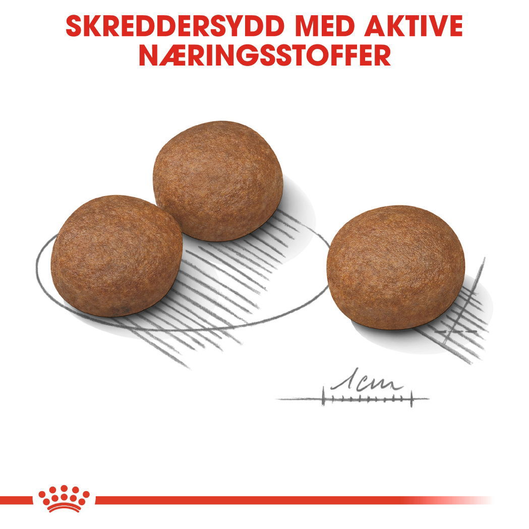 Royal Canin Digestive Care Medium Adult tørrfôr til hund