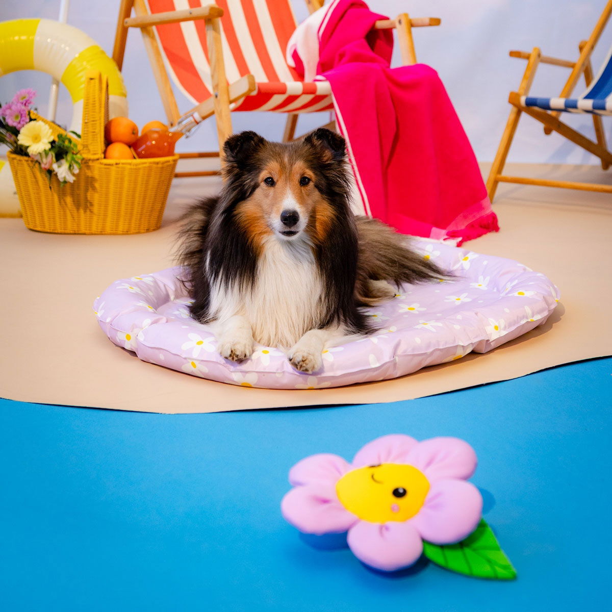 Little&Bigger HotSummer cooling bed daisy lilac