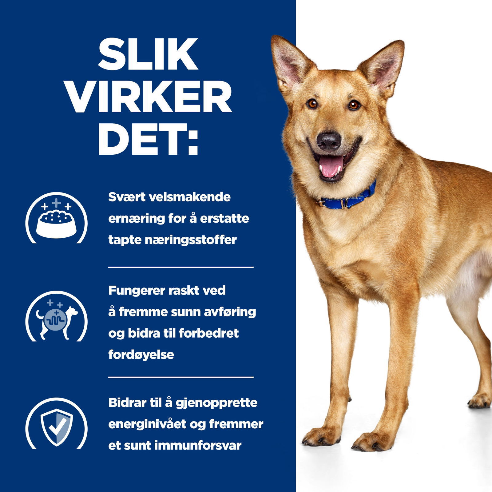 Hill's PRESCRIPTION DIET i/d Dog Food Chicken