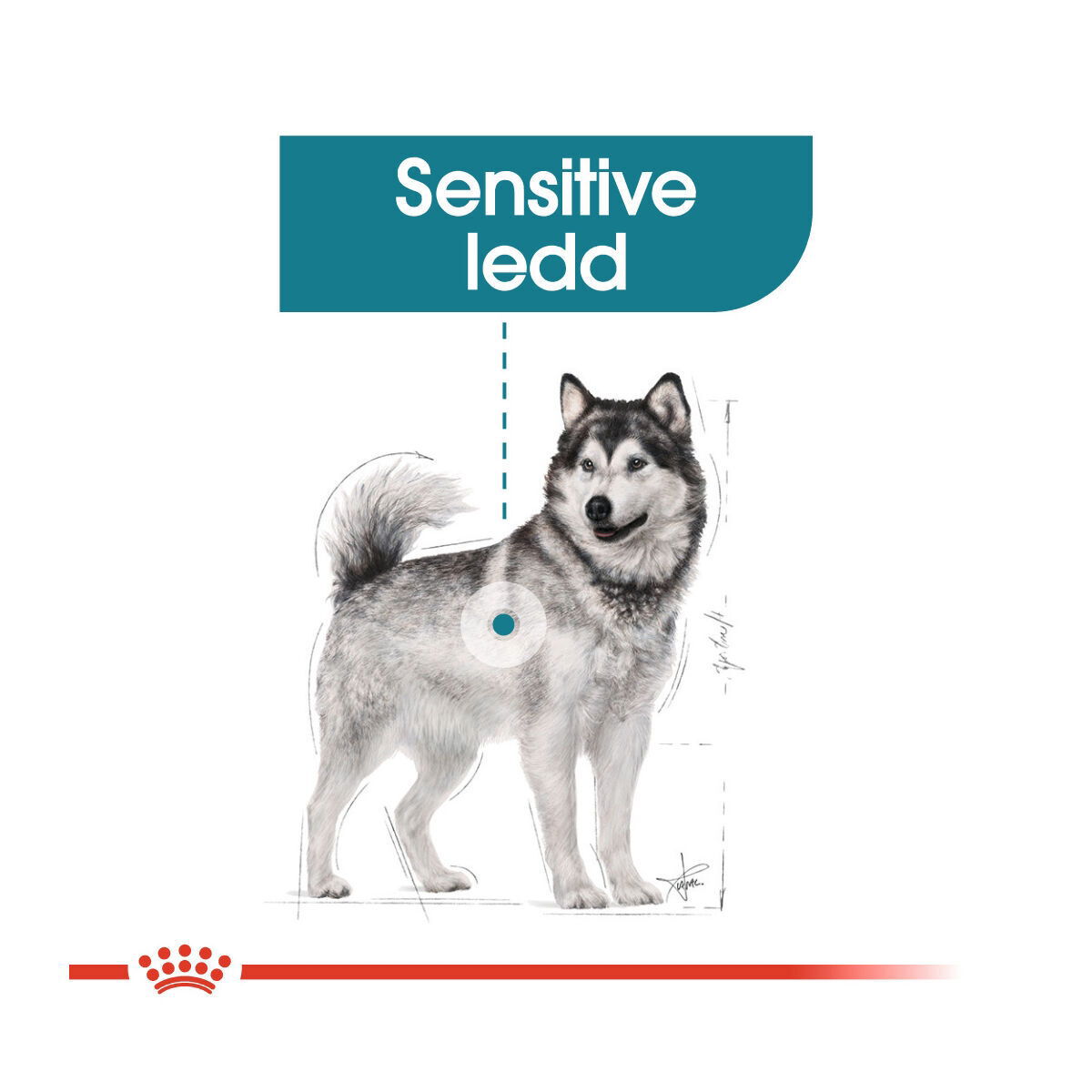 Royal Canin Maxi Joint Care