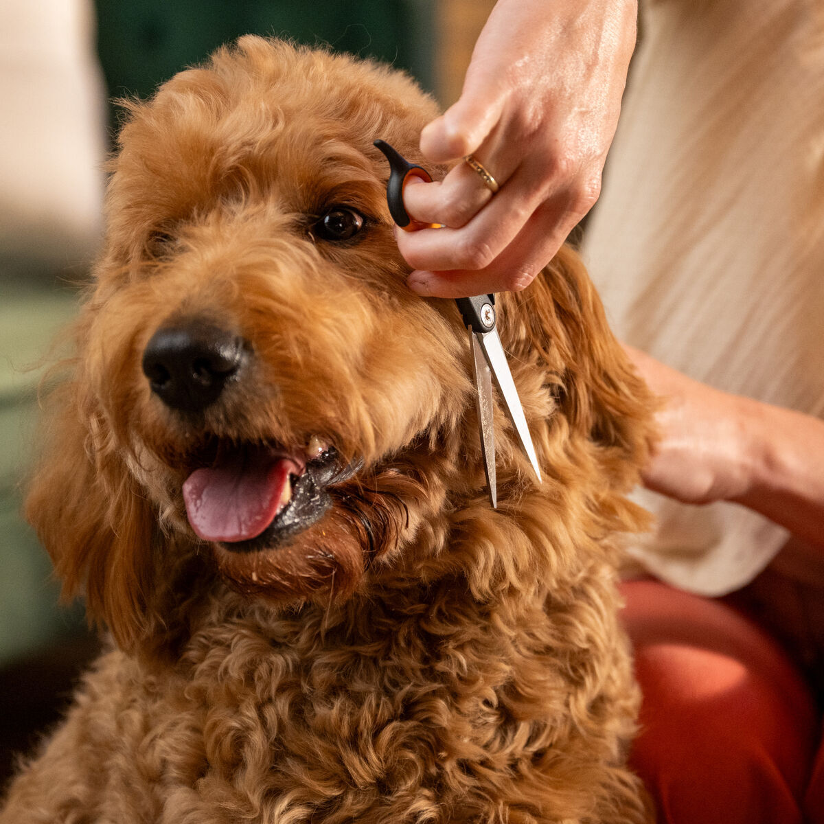 Fiskars trimming scissors​