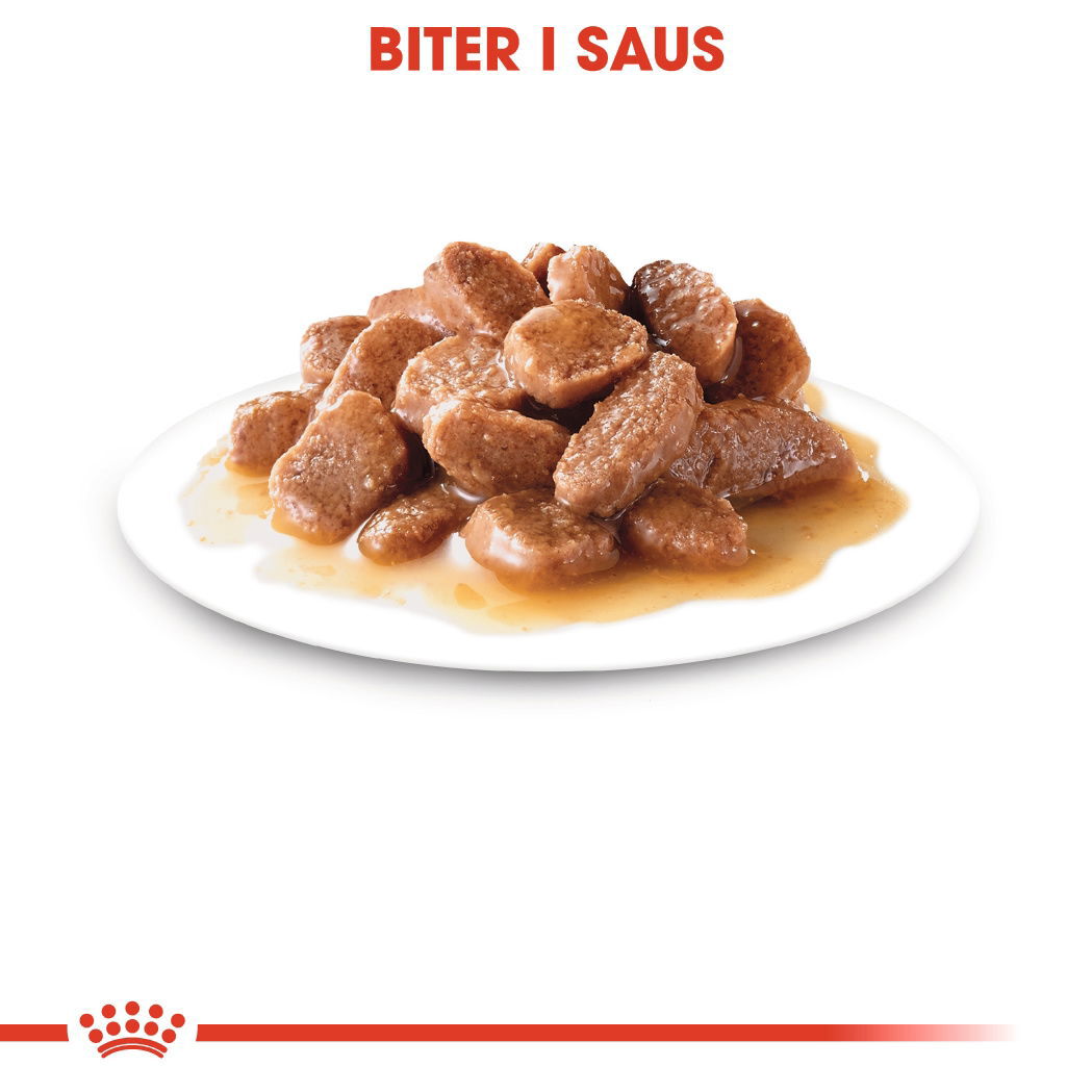 Royal Canin Digestive Care Gravy Adult våtfôr til katt