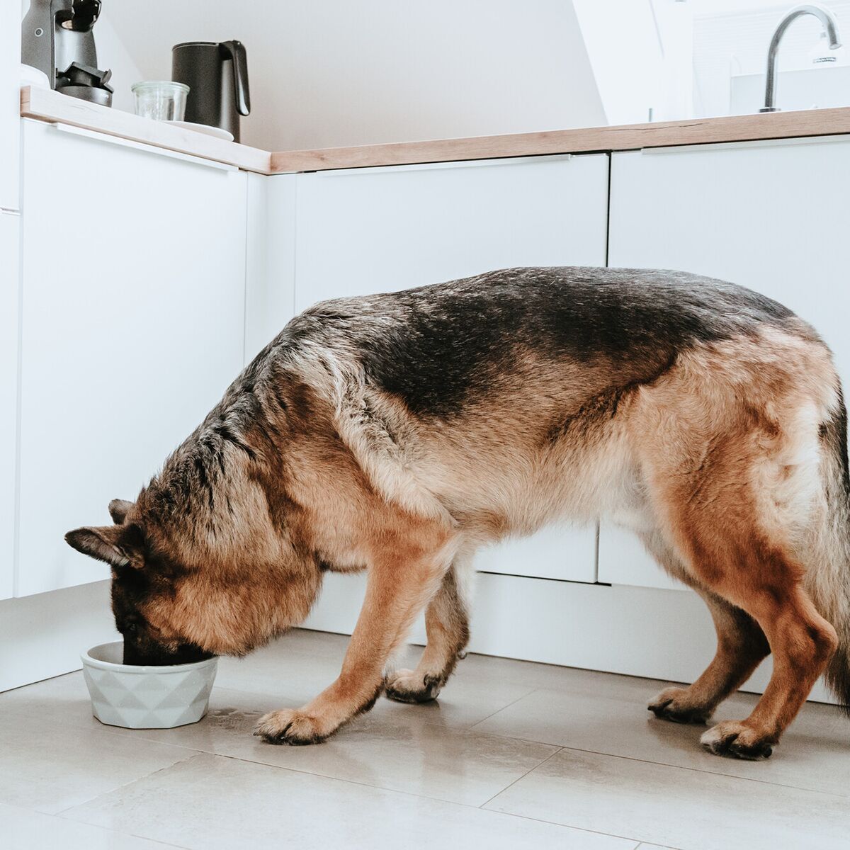Hunter Ceramic Bowl Eiby Grey