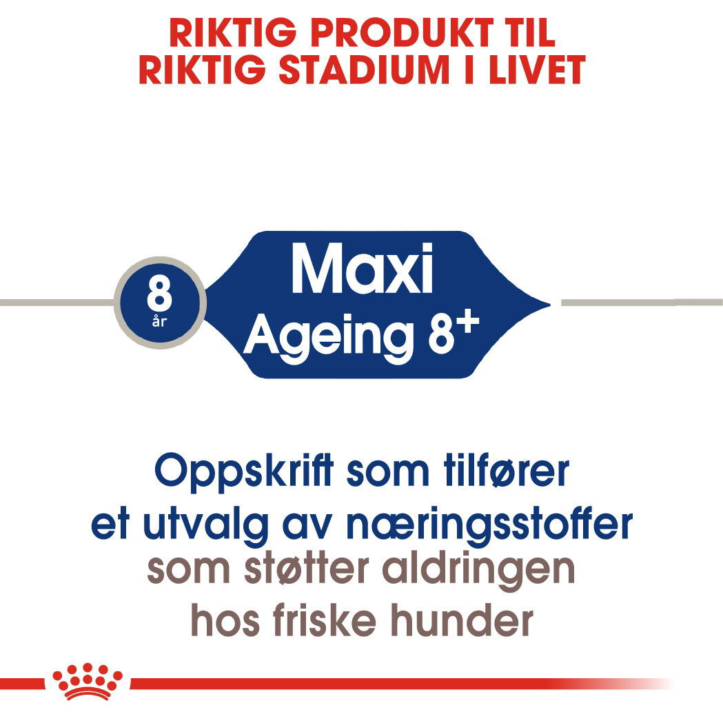 Royal Canin Maxi Ageing 8+ tørrfôr til hund