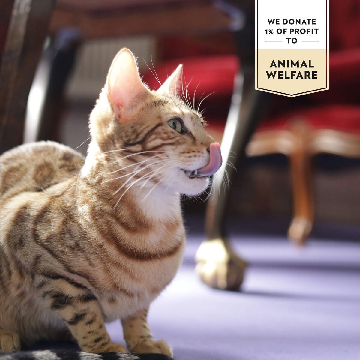 Prima Cat Saftig kyllingfilét