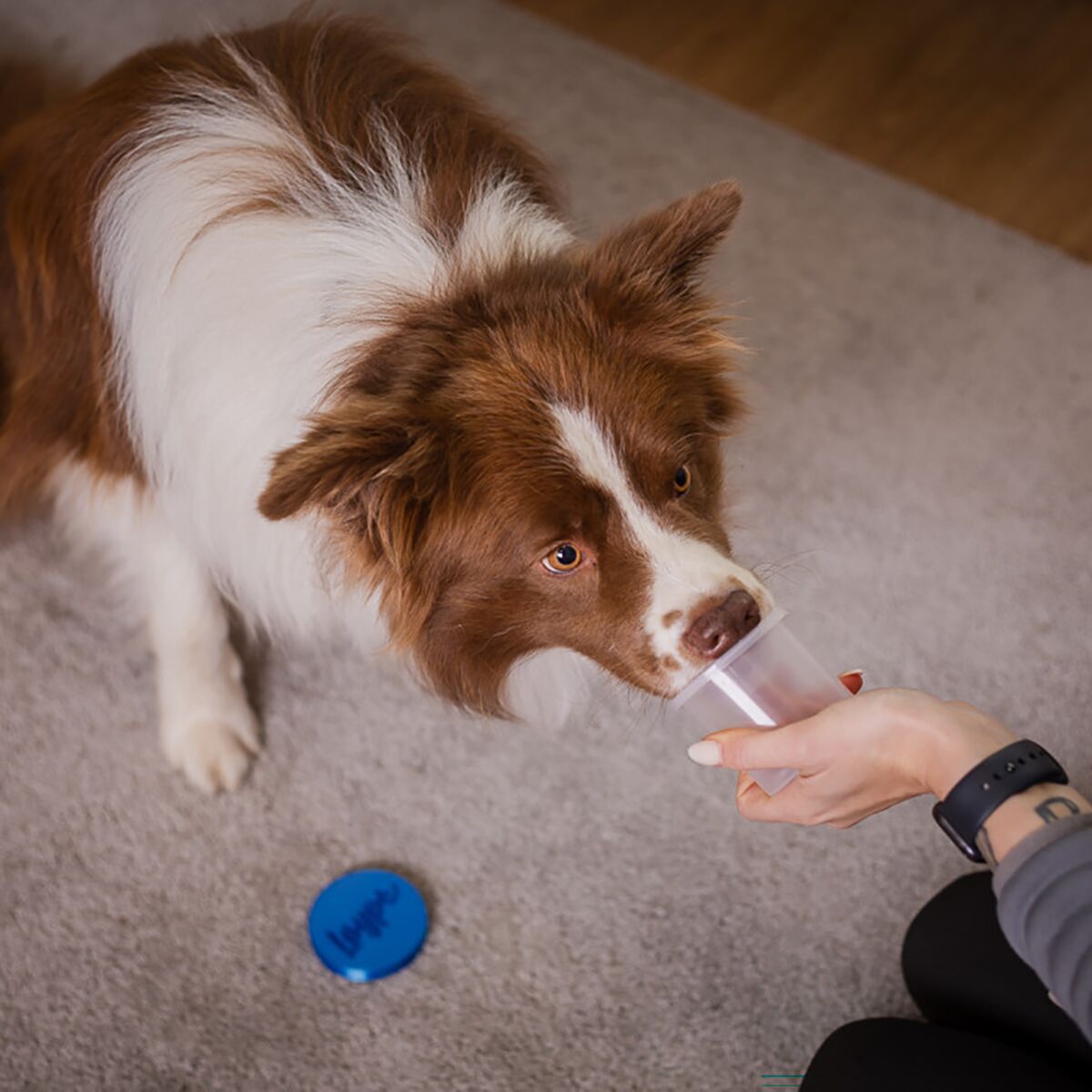 Loype Nose Work Container