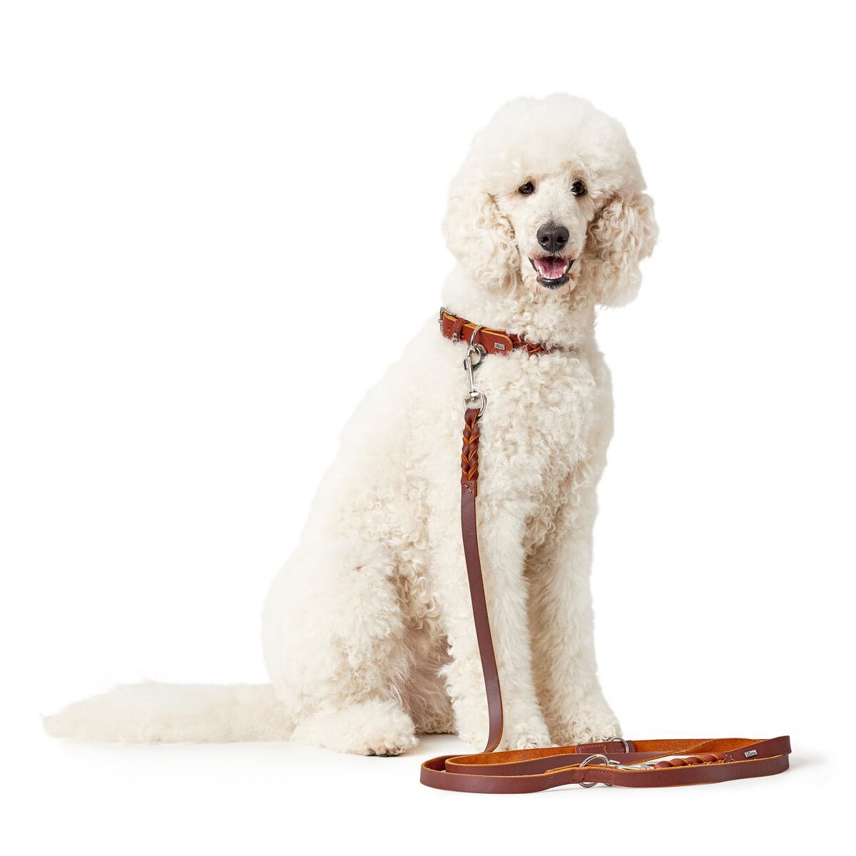 Hunter training collar Solid Education Brown