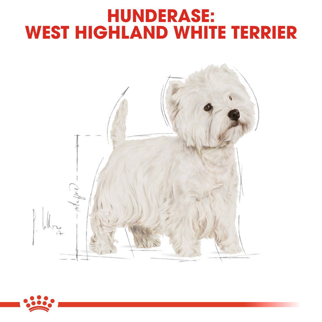 Royal Canin West Highland White Adult tørrfôr til hund