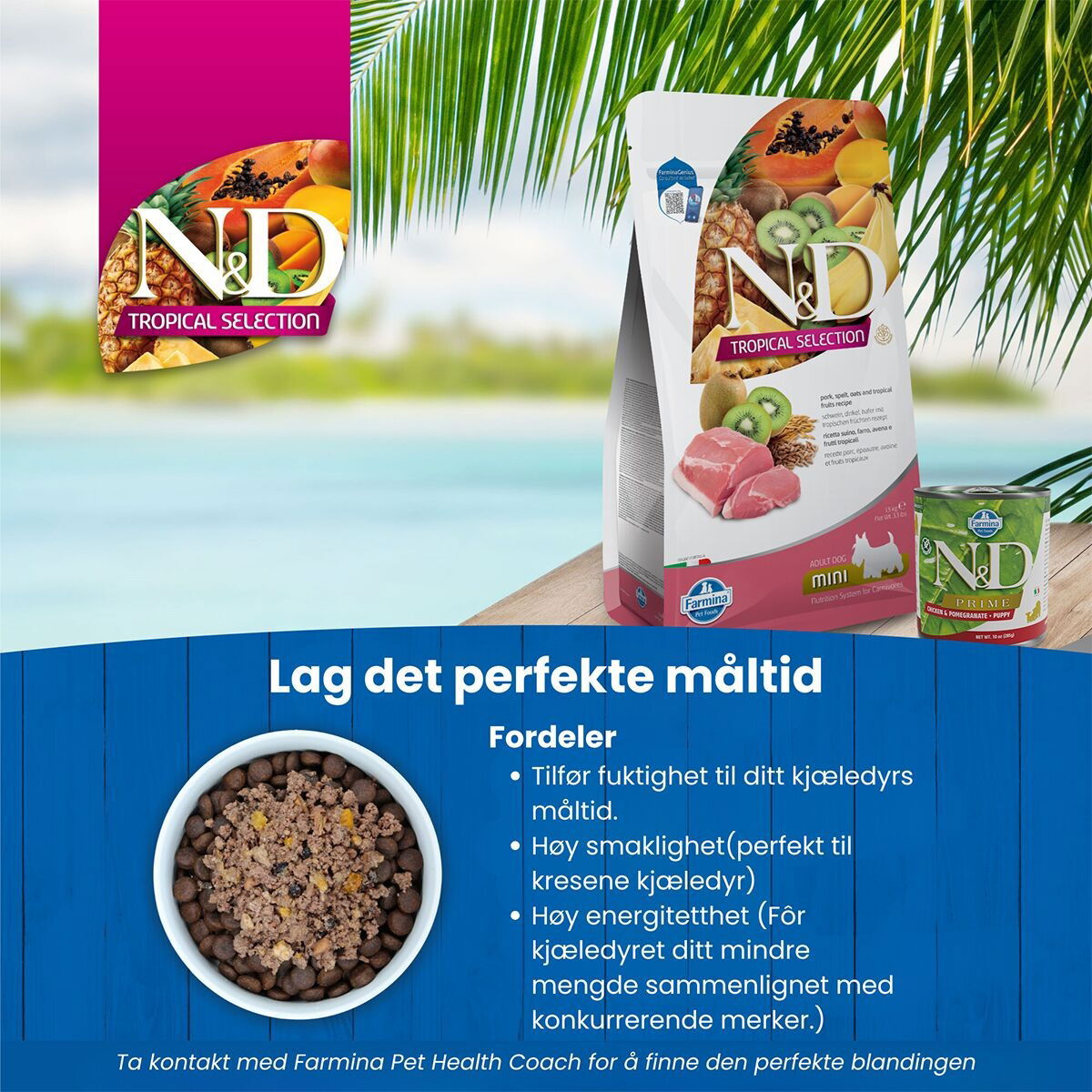 N&D Dog Tropical Pork Small