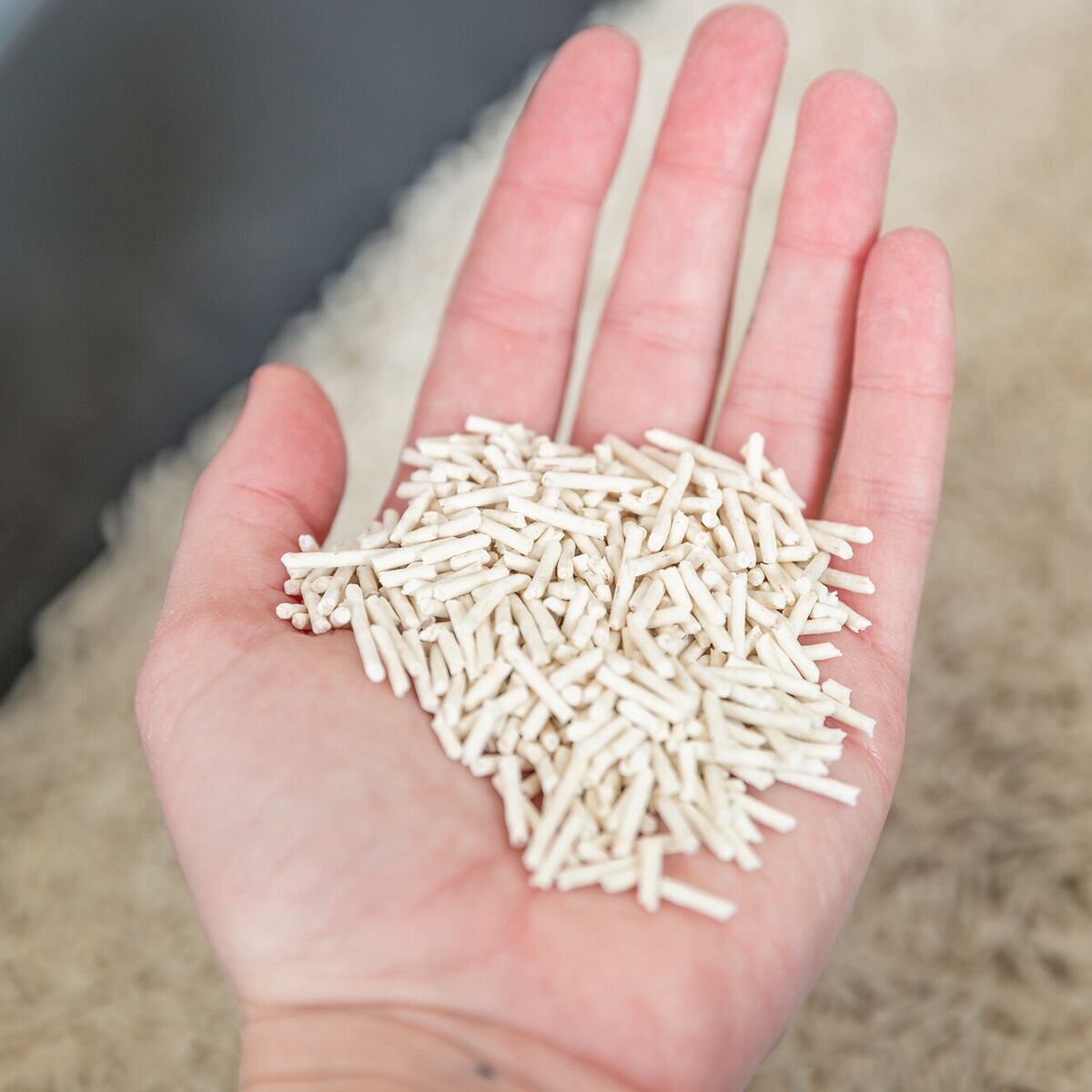 Trixie Tofu clumping cat litter