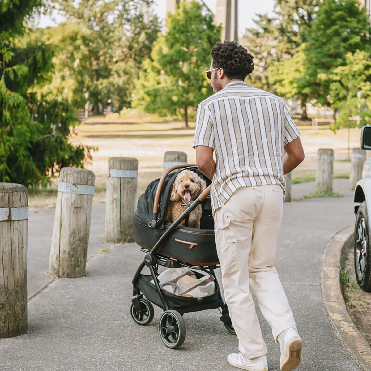 Tavo Roscoe Trek stroller frame