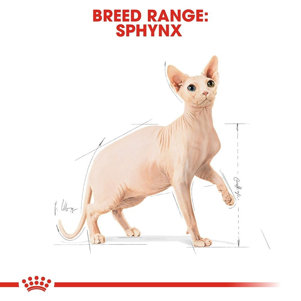 Royal Canin Sphynx Adult tørrfôr til katt