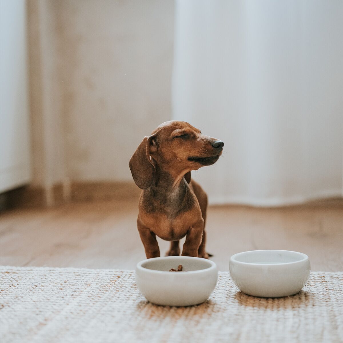 Hunter Ceramic Bowl Lisboa Creme