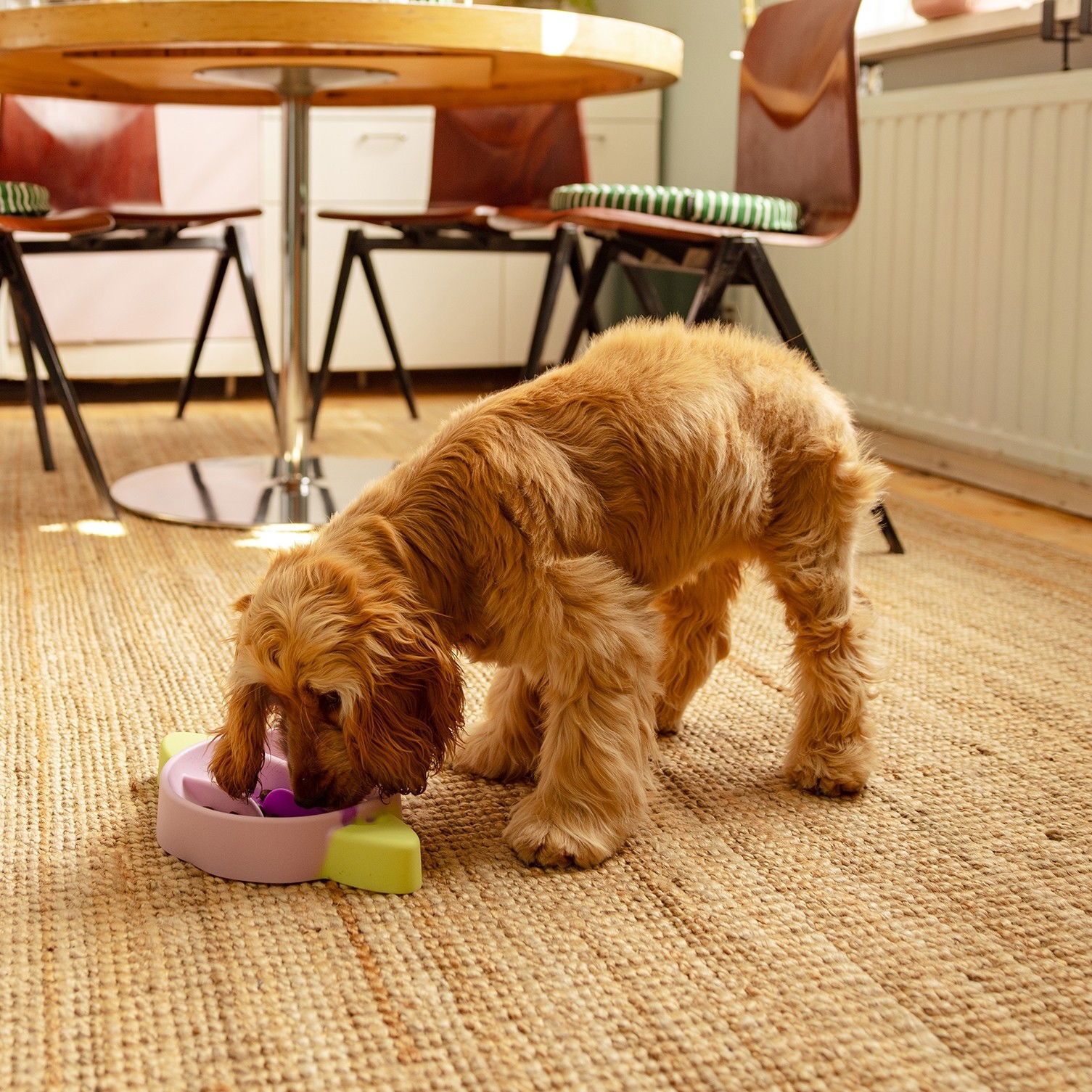 Little&Bigger Saturn silicone slow feed bowl tricolor
