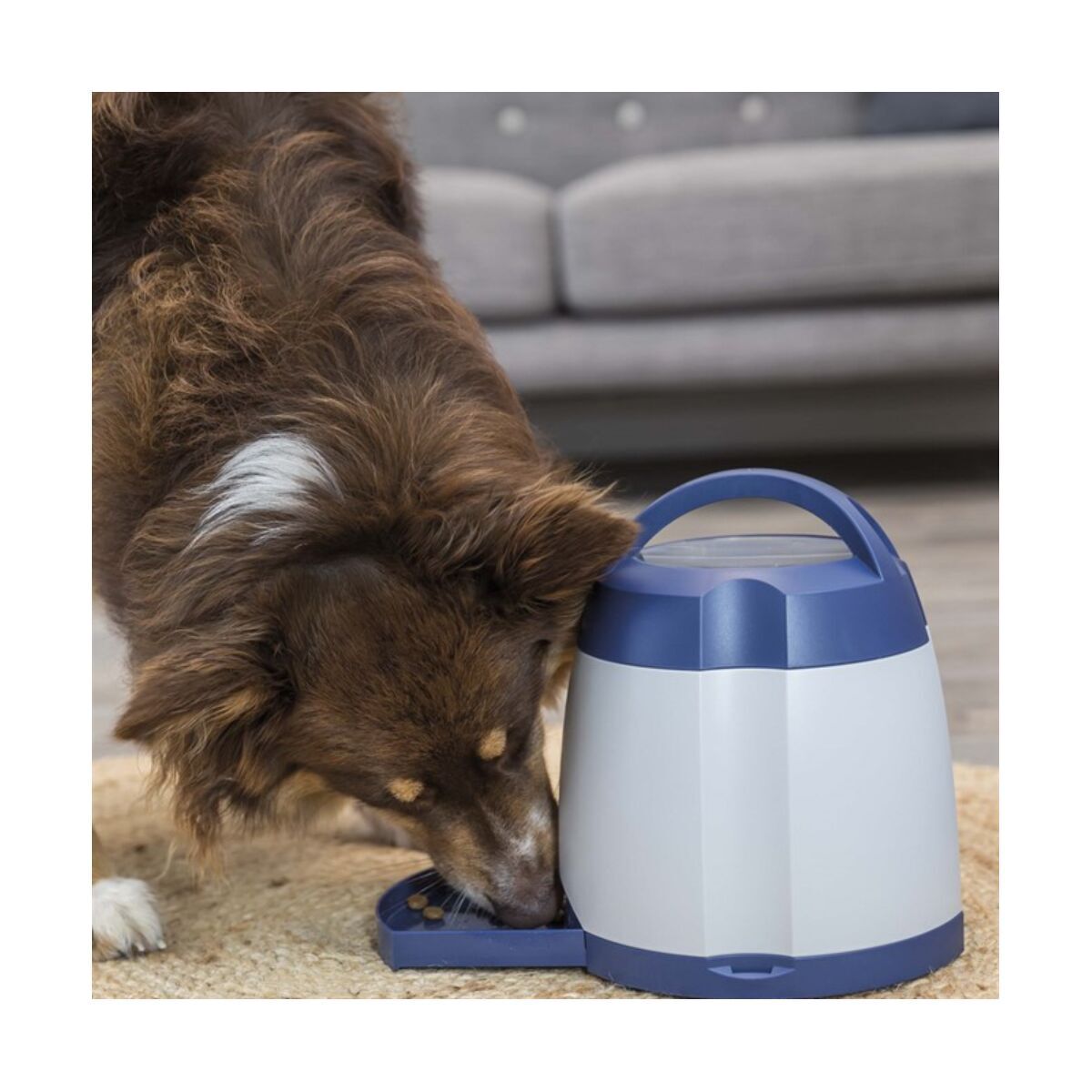 Trixie Hund Aktivitet Minnespill