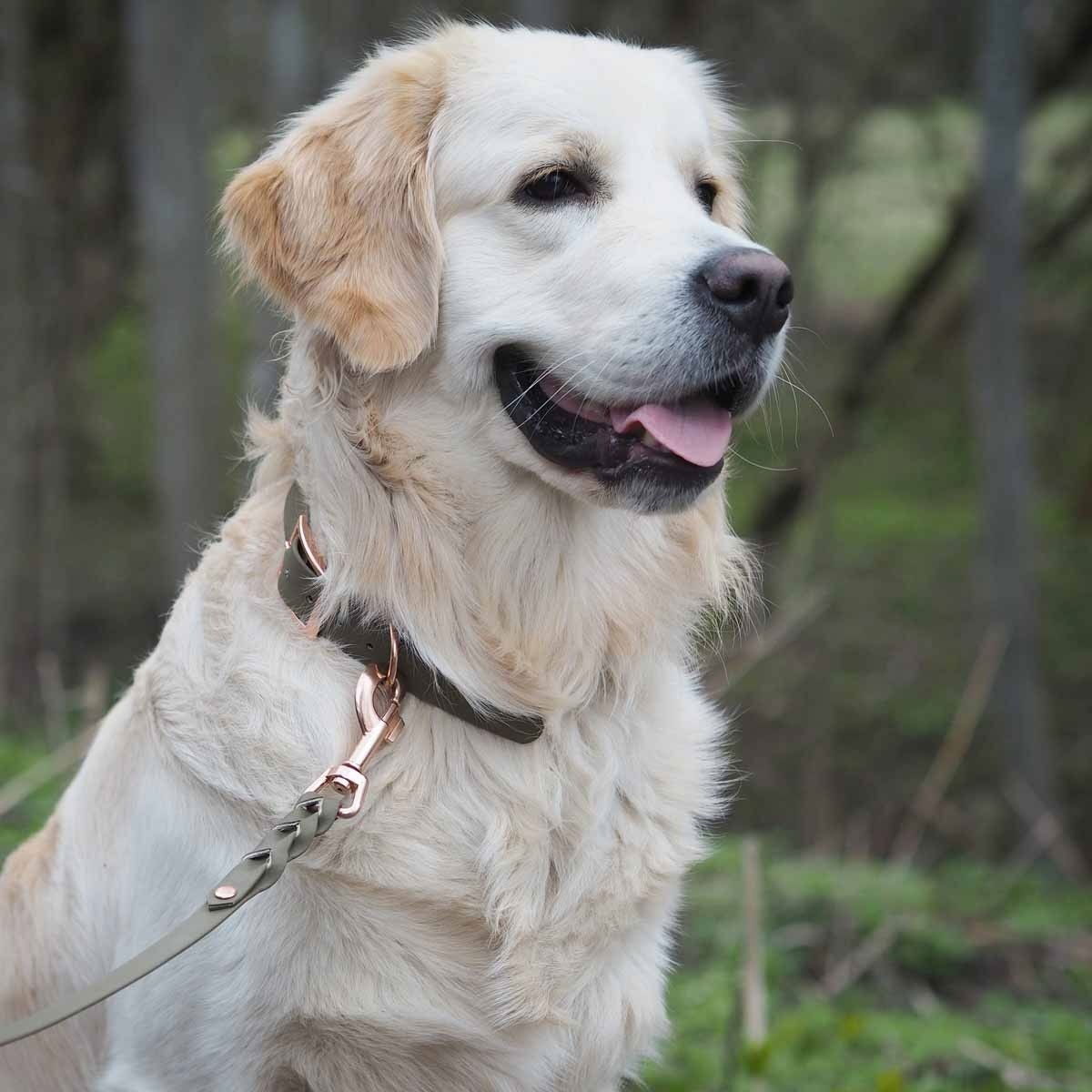 Tyylivoitto Braid leash, olive