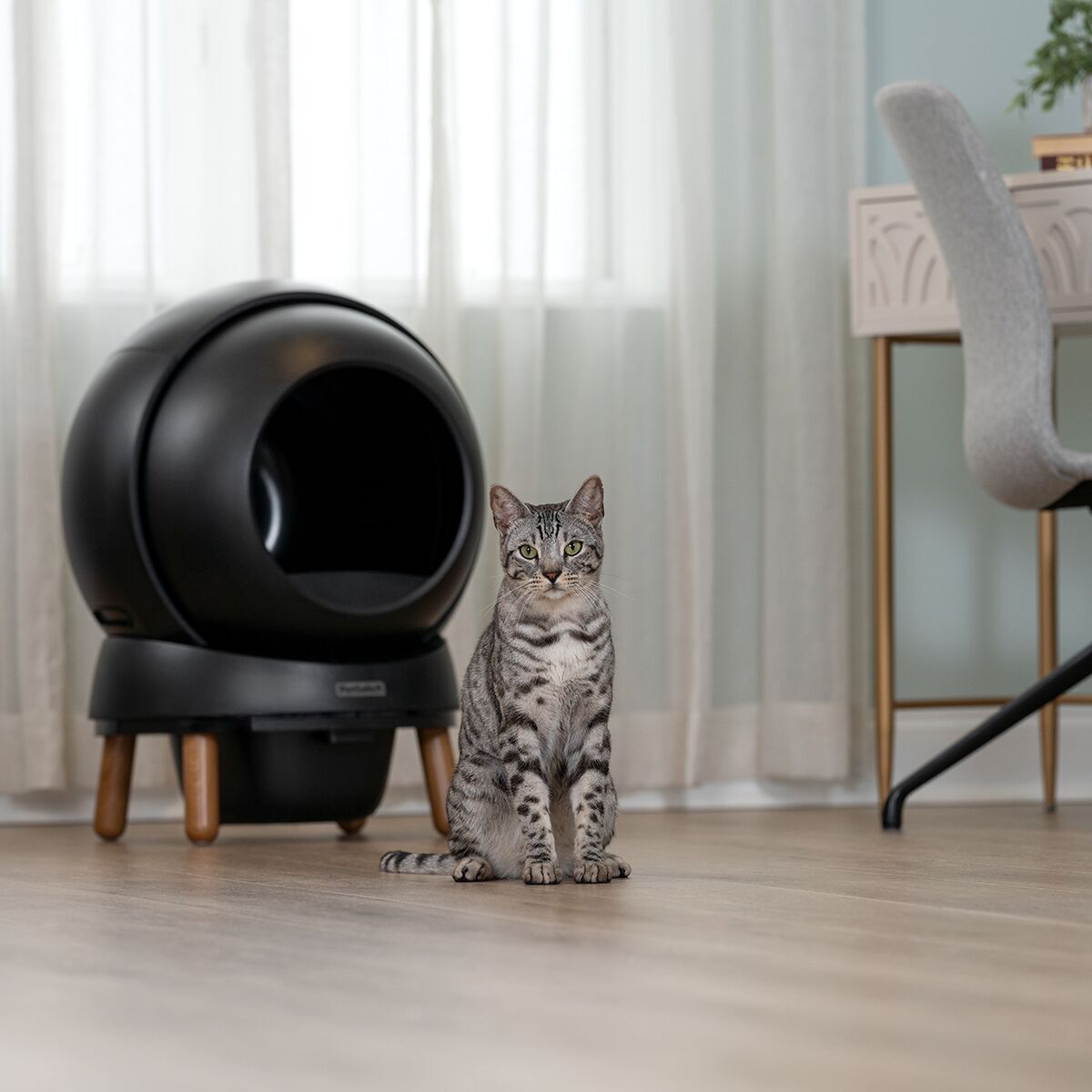 PetSafe SmartSpin Self-Cleaning Litter Box, Black